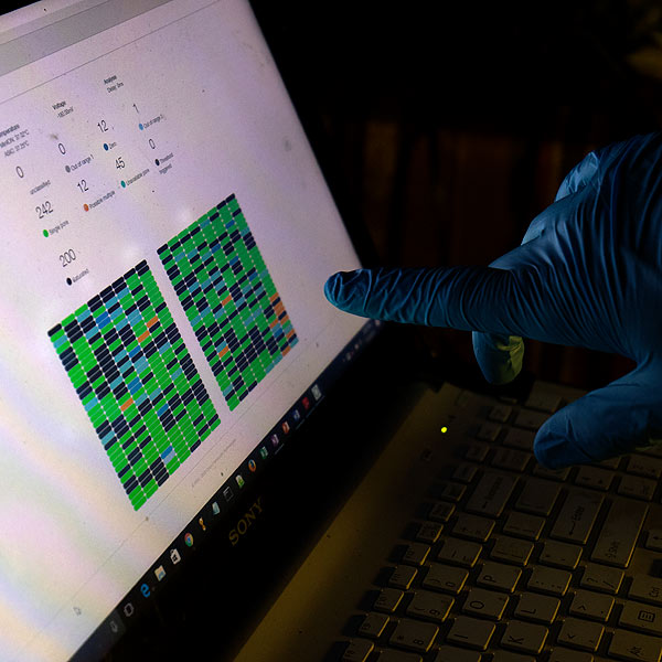 Image of a computer running DNA analyses