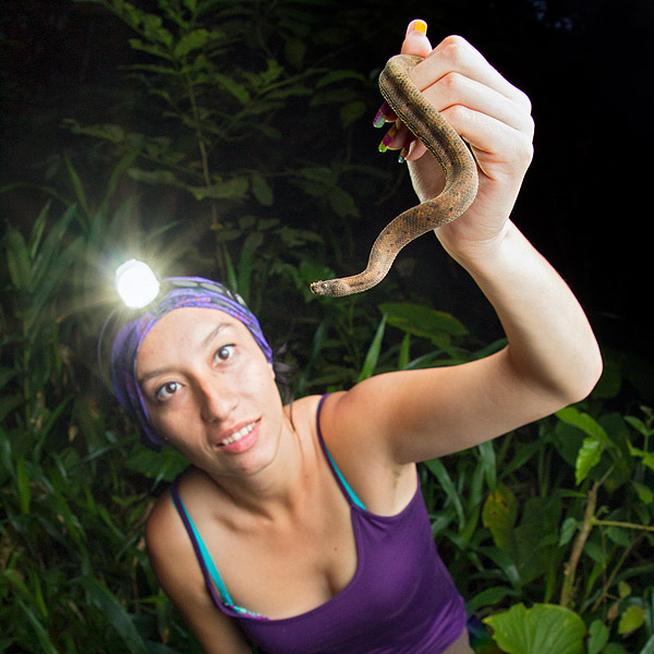 Image of a researcher holding a snake