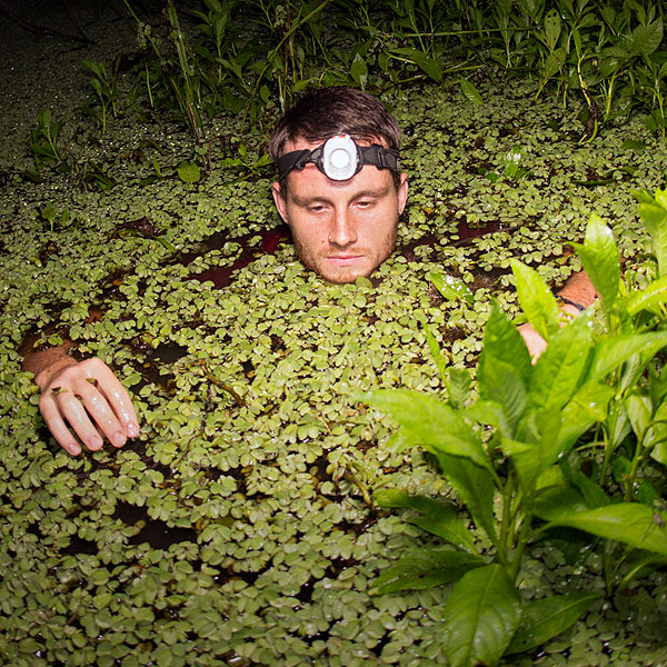 Image of a researher sampling a pond