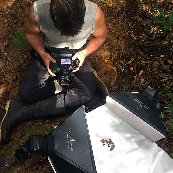 Image of a photographer documenting a gecko
