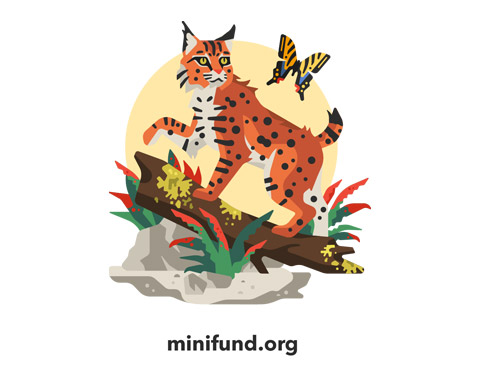 Minifund