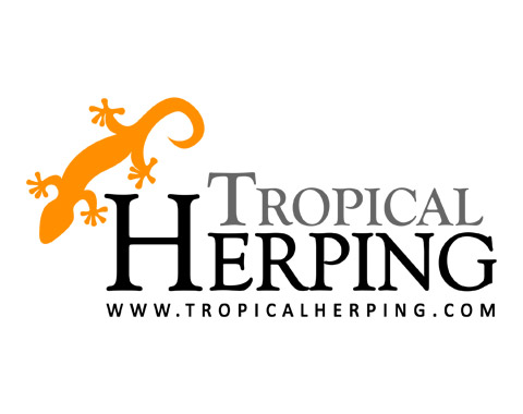 Tropical Herping