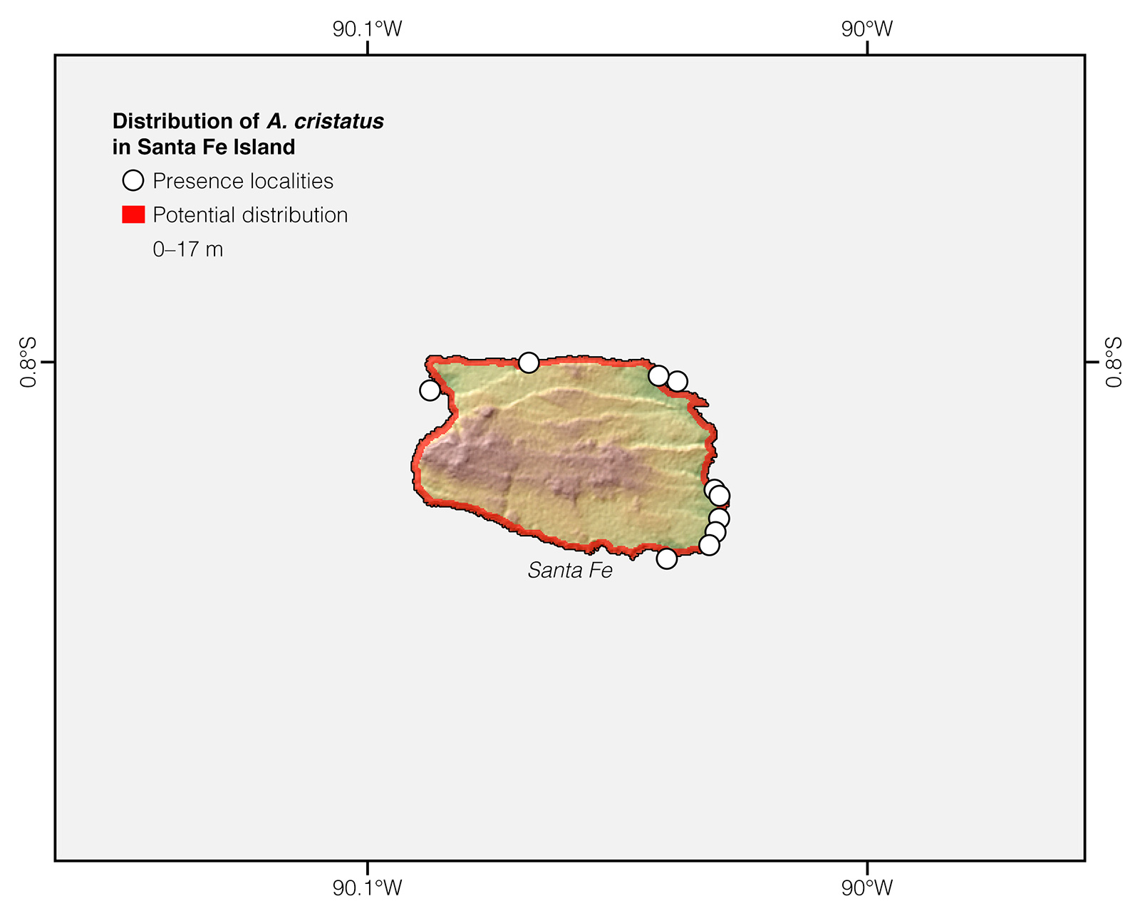 Distribution of Amblyrhynchus cristatus in Santa Fe Island
