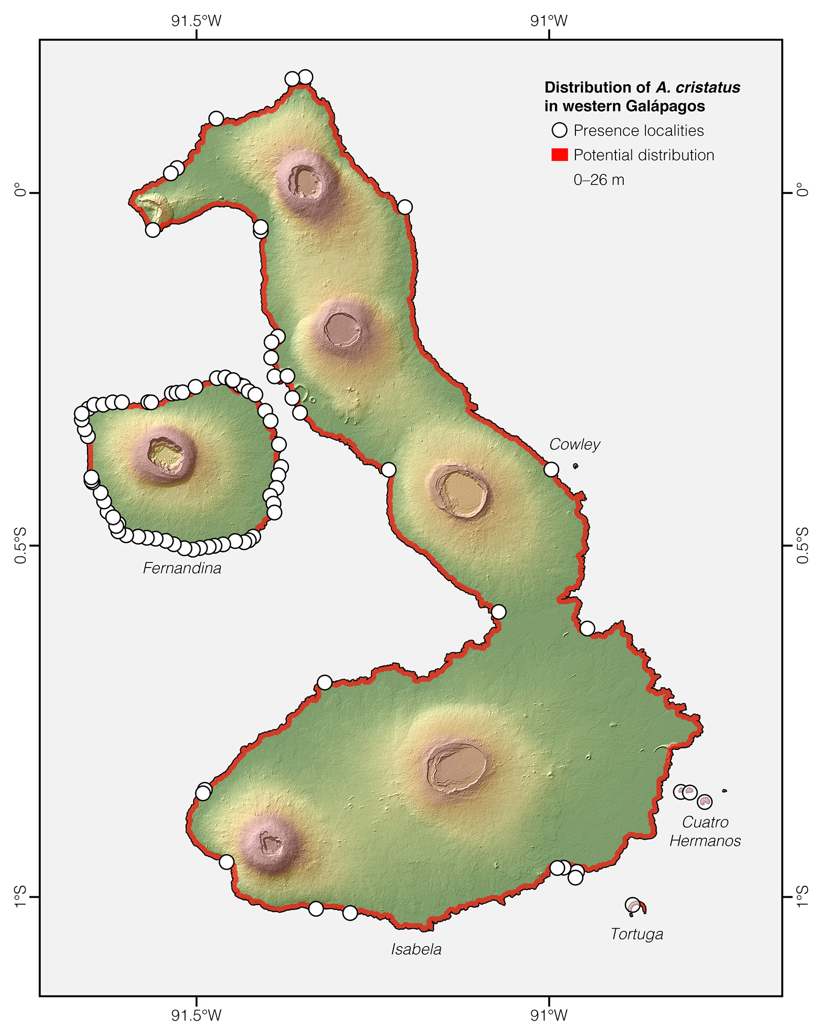 Distribution of Amblyrhynchus cristatus in western Galápagos