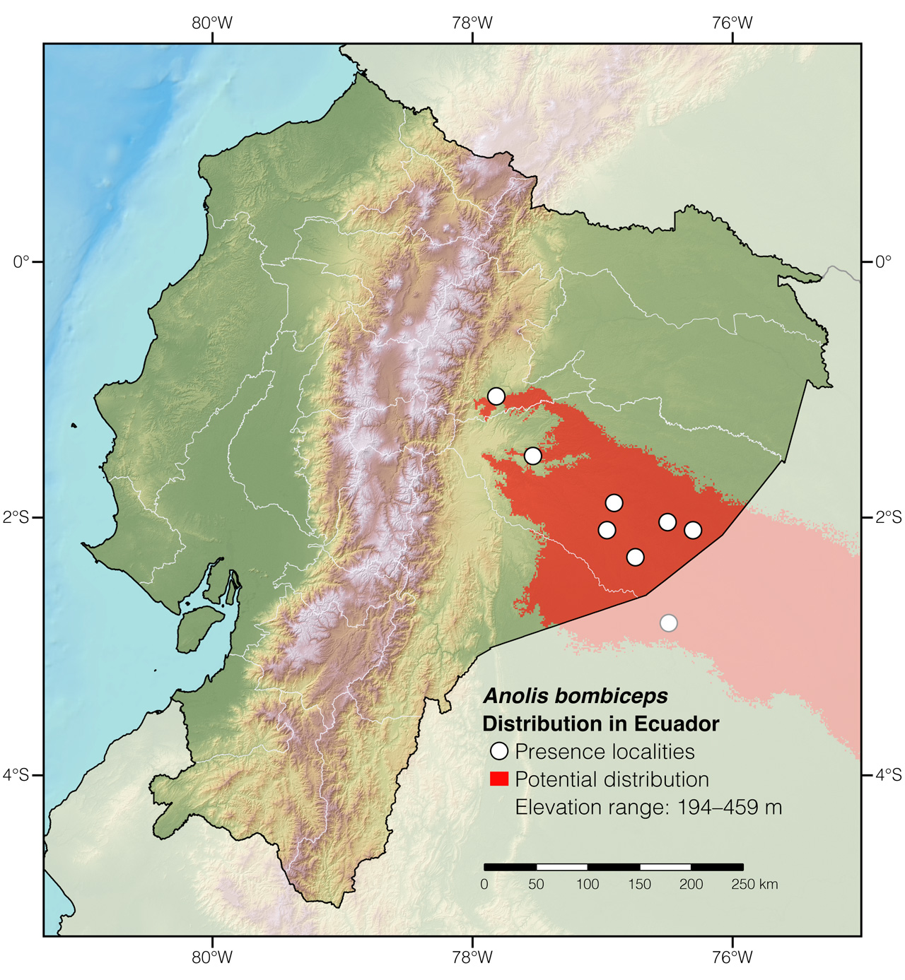 Distribution of Anolis bombiceps in Ecuador