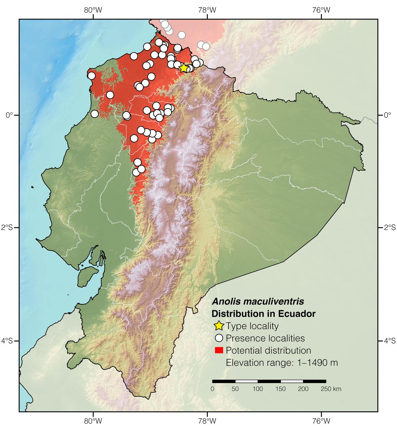 Distribution of Anolis maculiventris in Ecuador