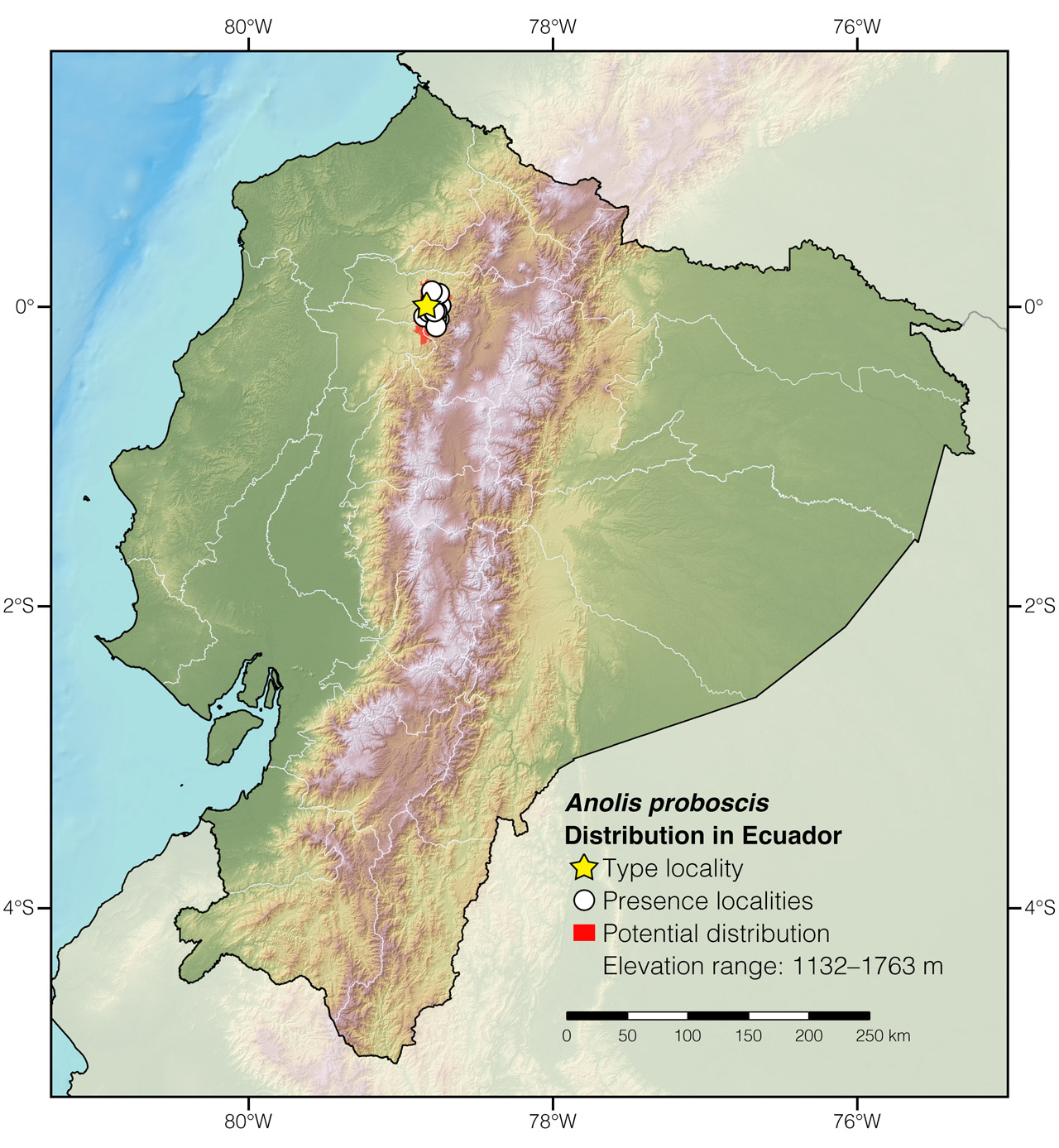 Distribution of Anolis proboscis in Ecuador