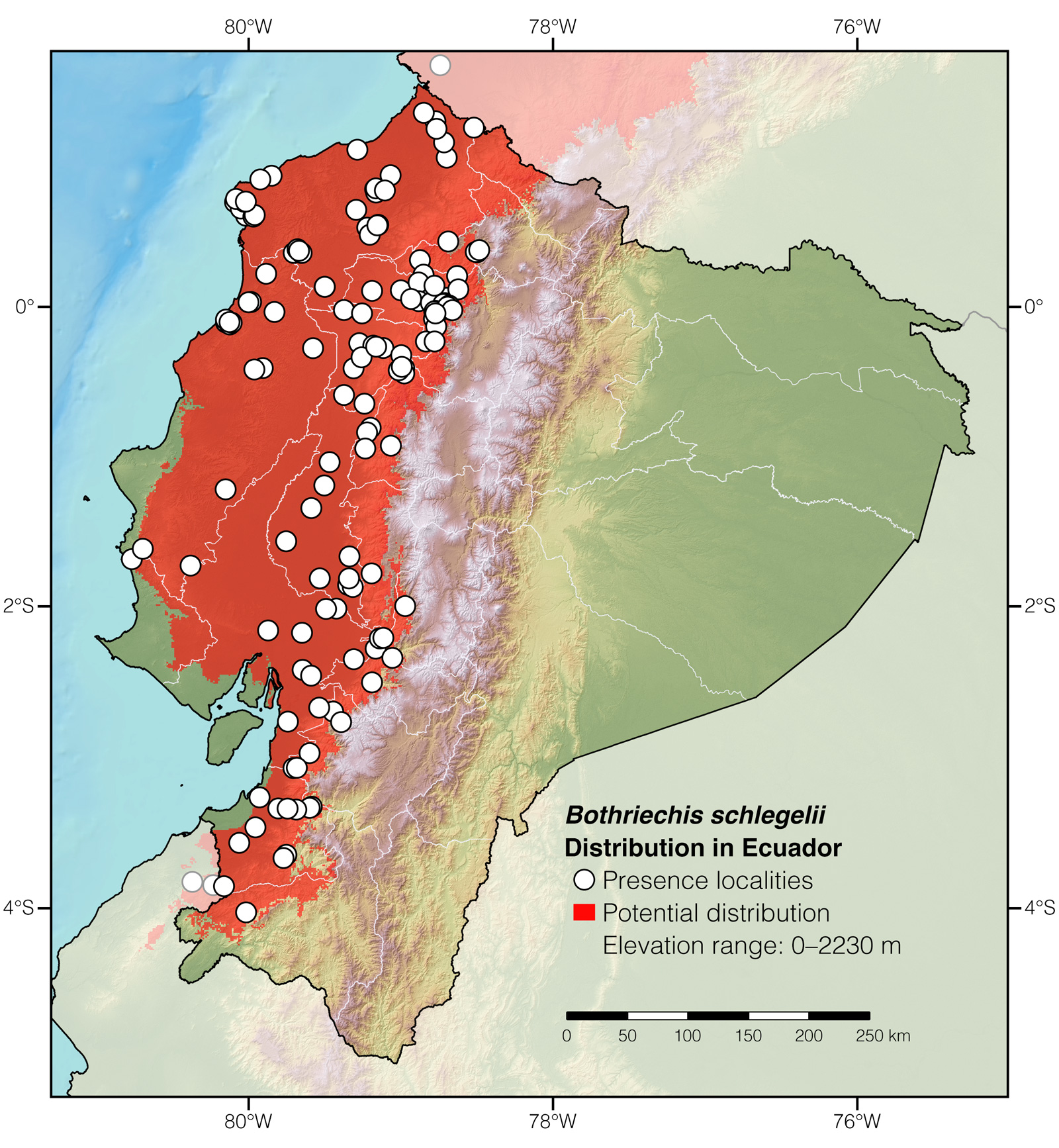 Distribution of Bothriechis schlegelii in Ecuador