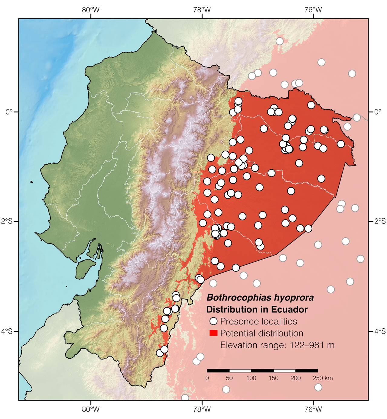 Distribution of Bothrocophias hyoprora in Ecuador