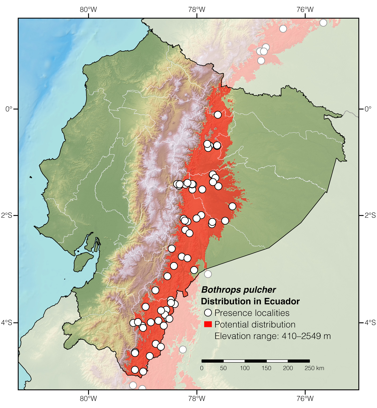 Distribution of Bothrops pulcher in Ecuador