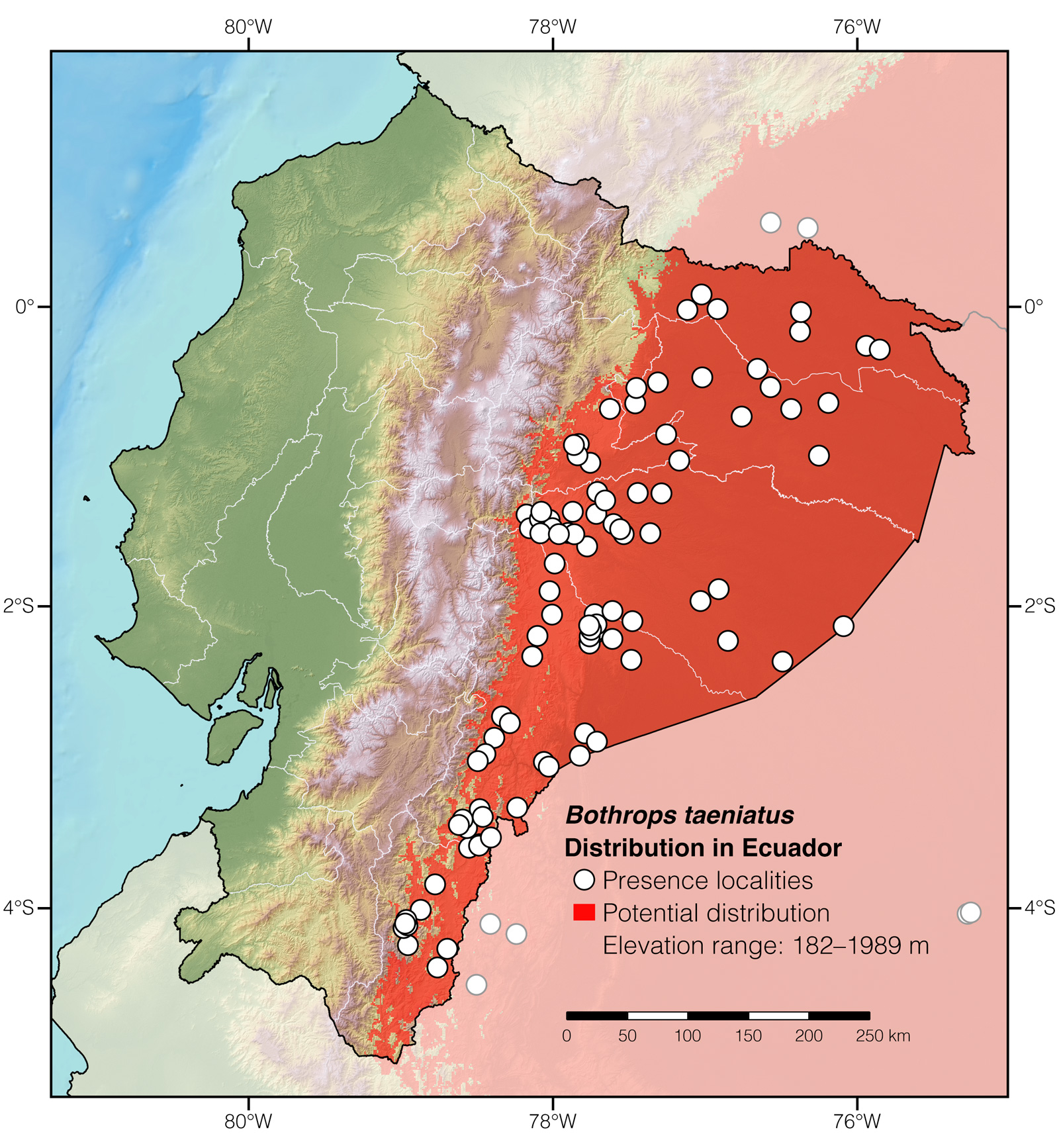 Distribution of Bothrops taeniatus in Ecuador