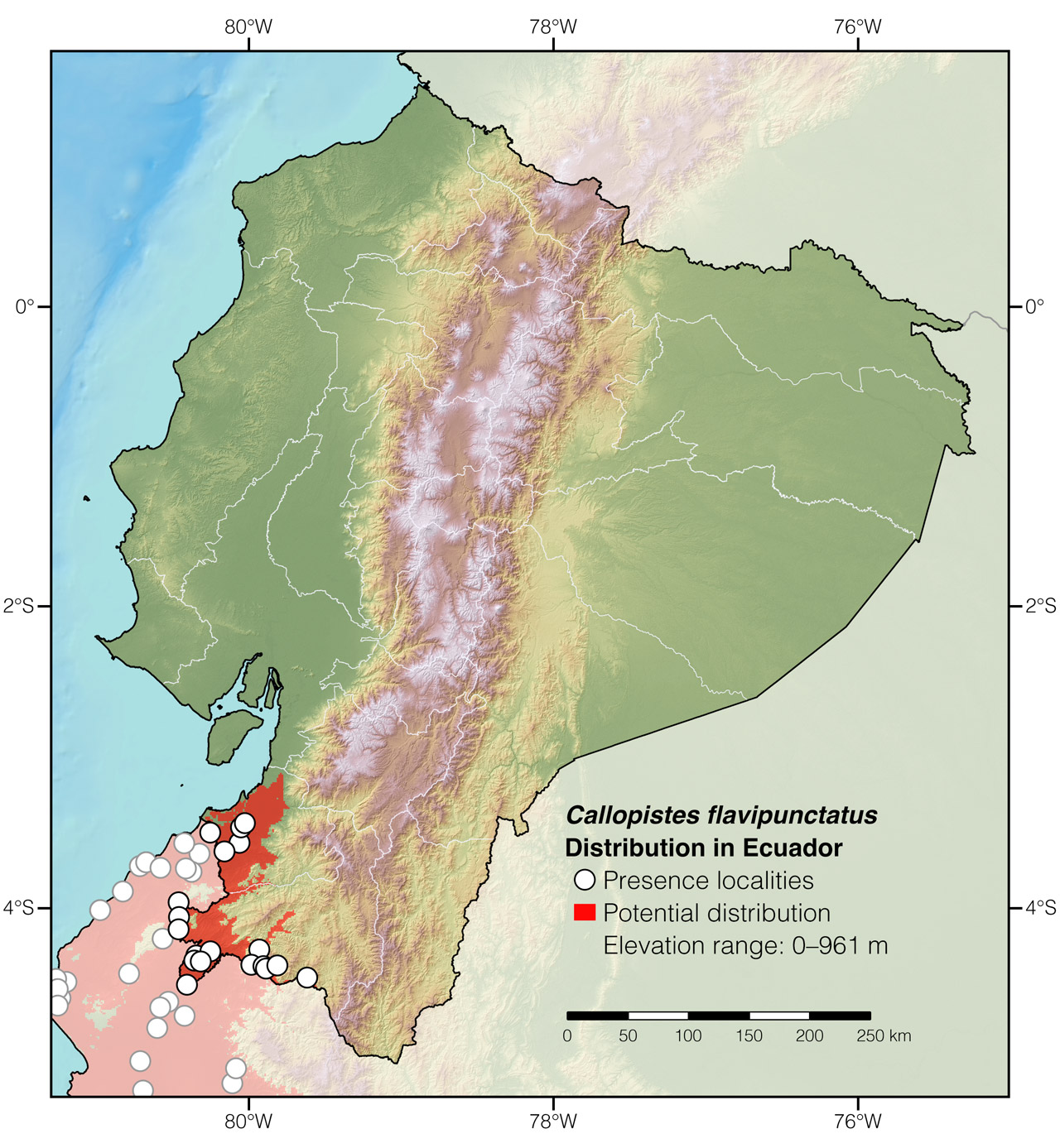 Distribution of Callopistes flavipunctatus in Ecuador