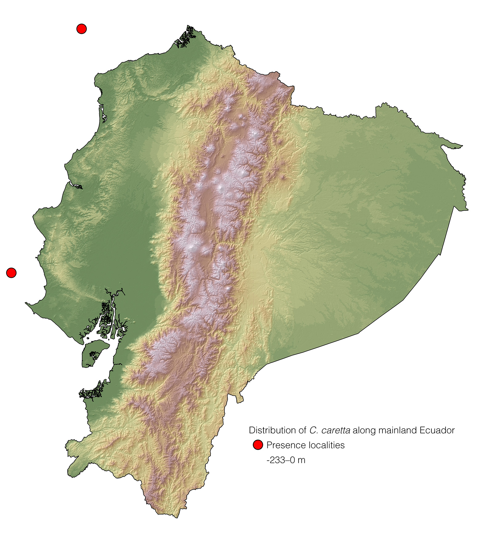 Distribution of Caretta caretta along mainland Ecuador