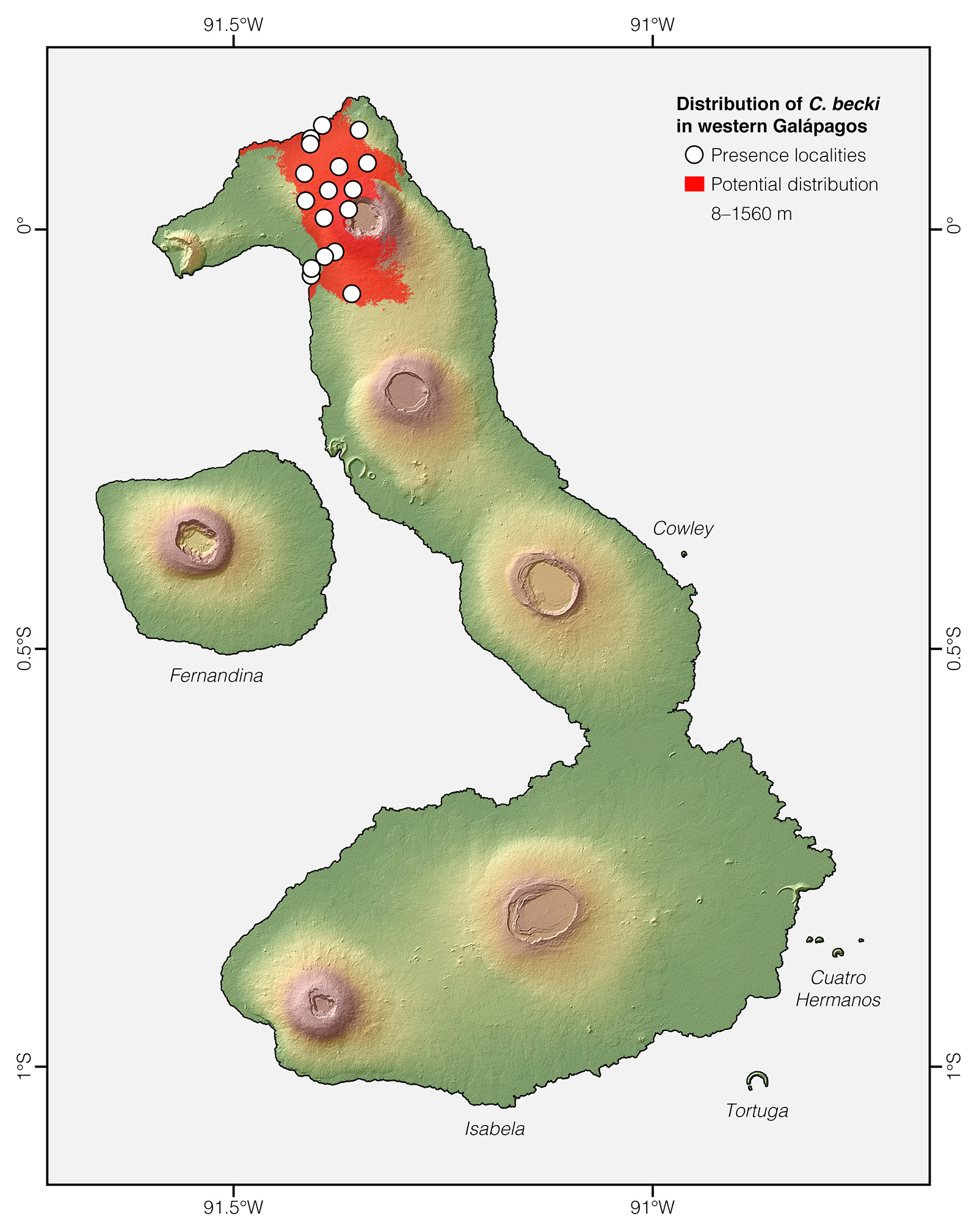 Distribution of Chelonoidis becki in western Galápagos