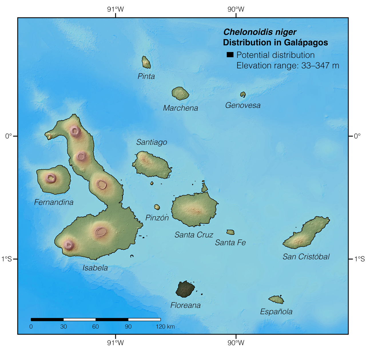 Distribution of Chelonoidis niger