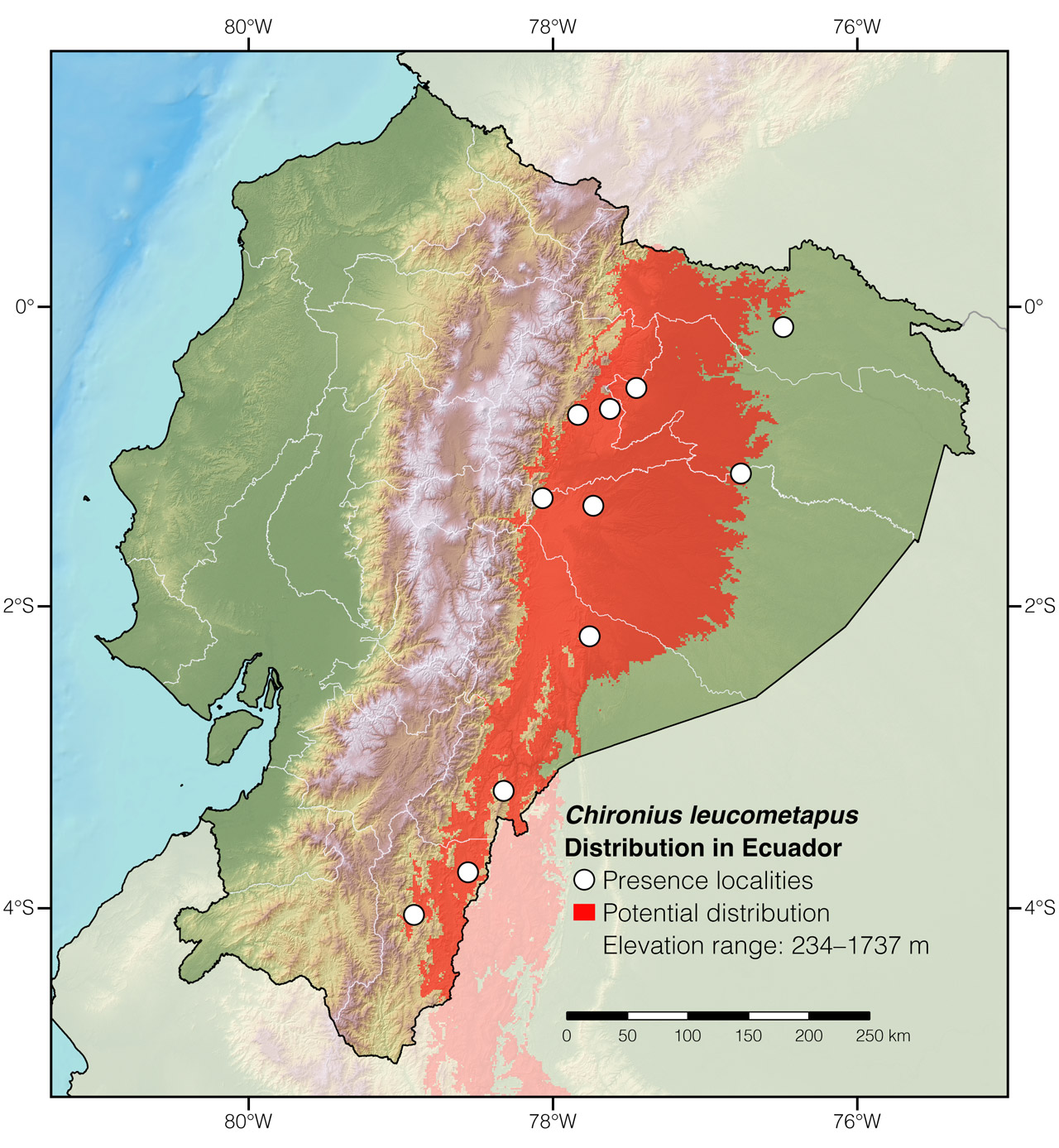 Distribution of Chironius leucometapus in Ecuador