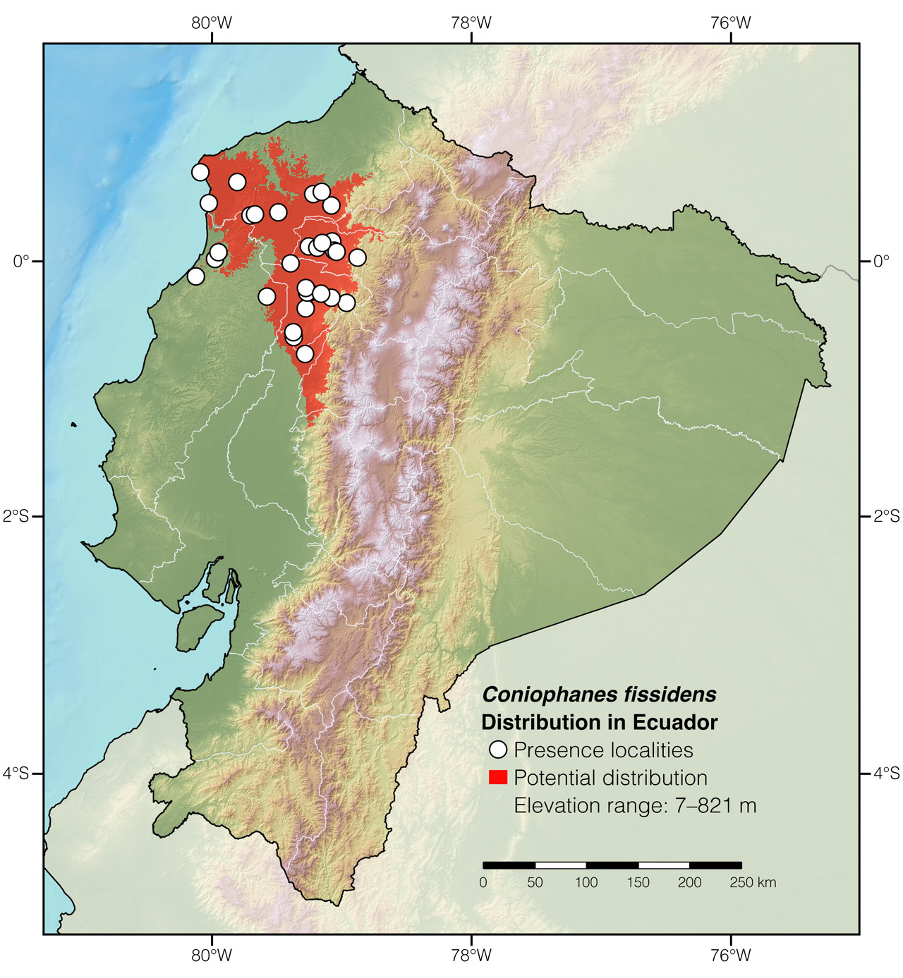 Distribution of Coniophanes fissidens in Ecuador