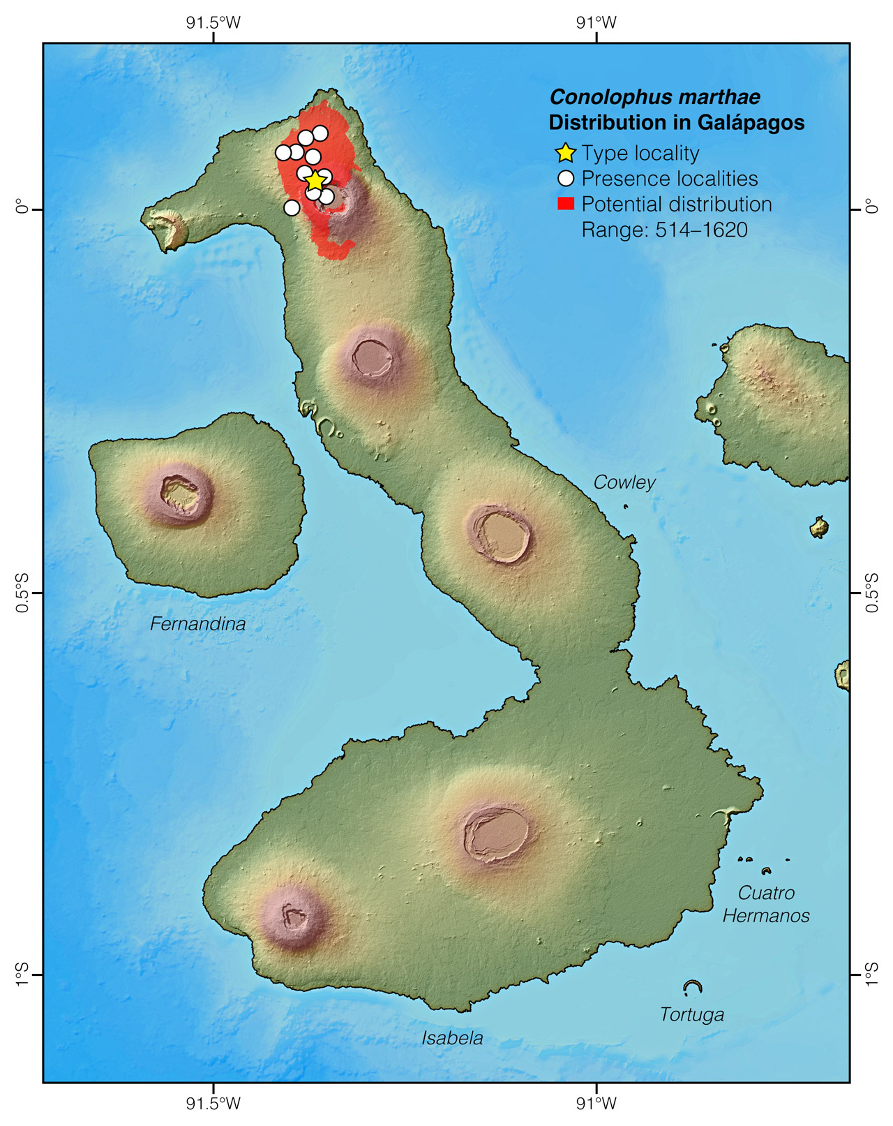 Distribution of Conolophus marthae in Isabela Island