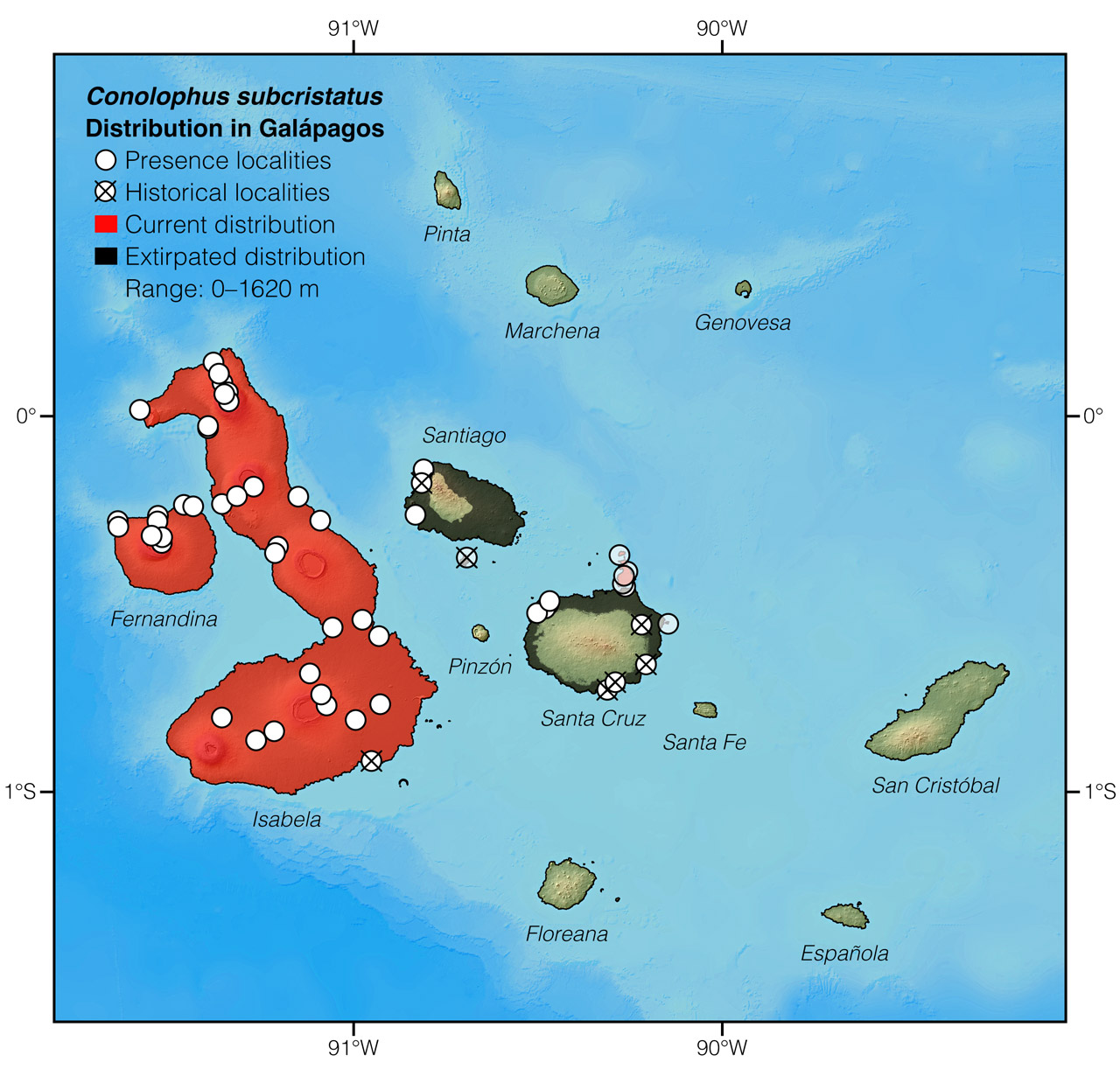 Distribution of Conolophus subcristatus