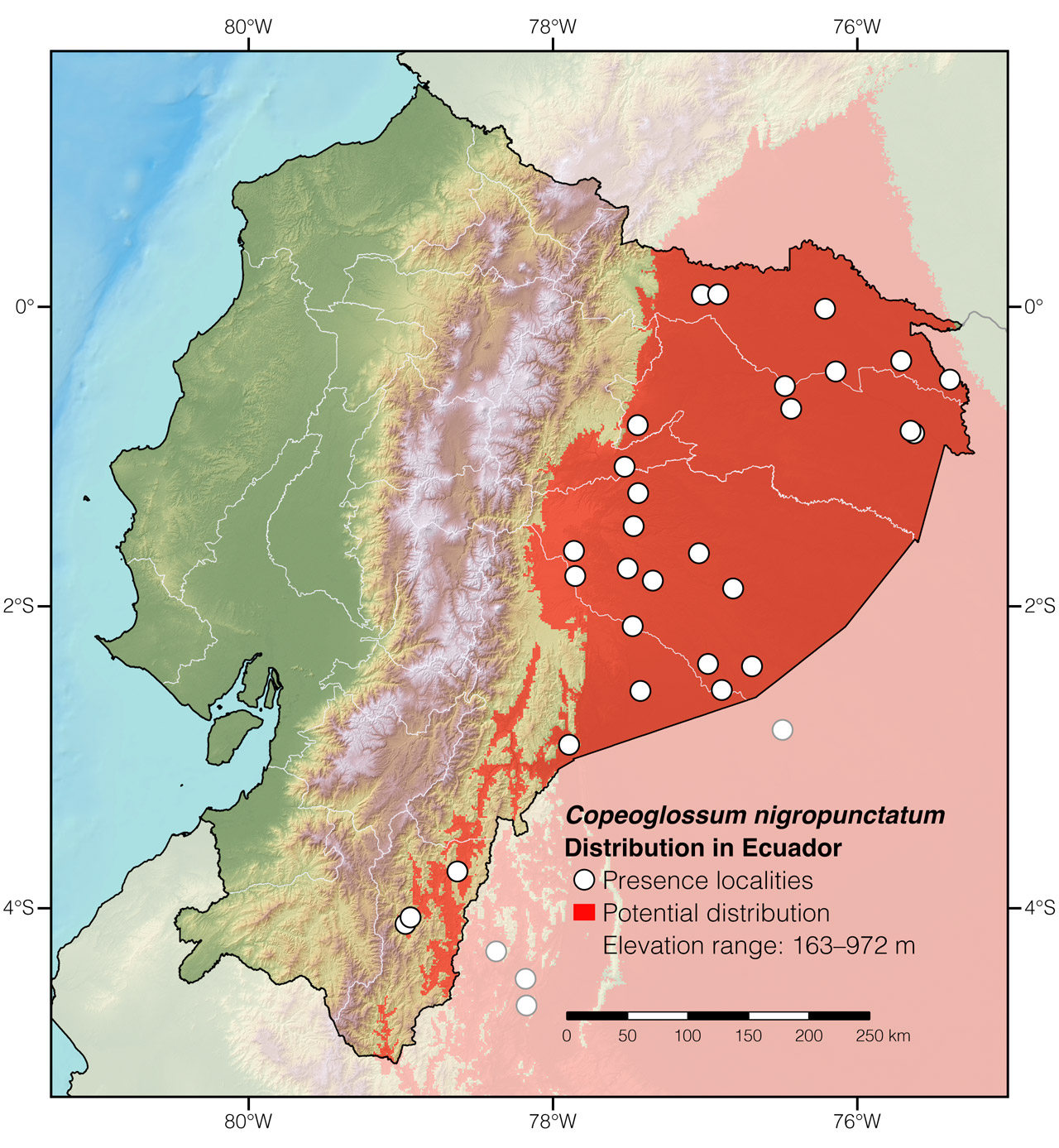 Distribution of Copeoglossum nigropunctatum in Ecuador