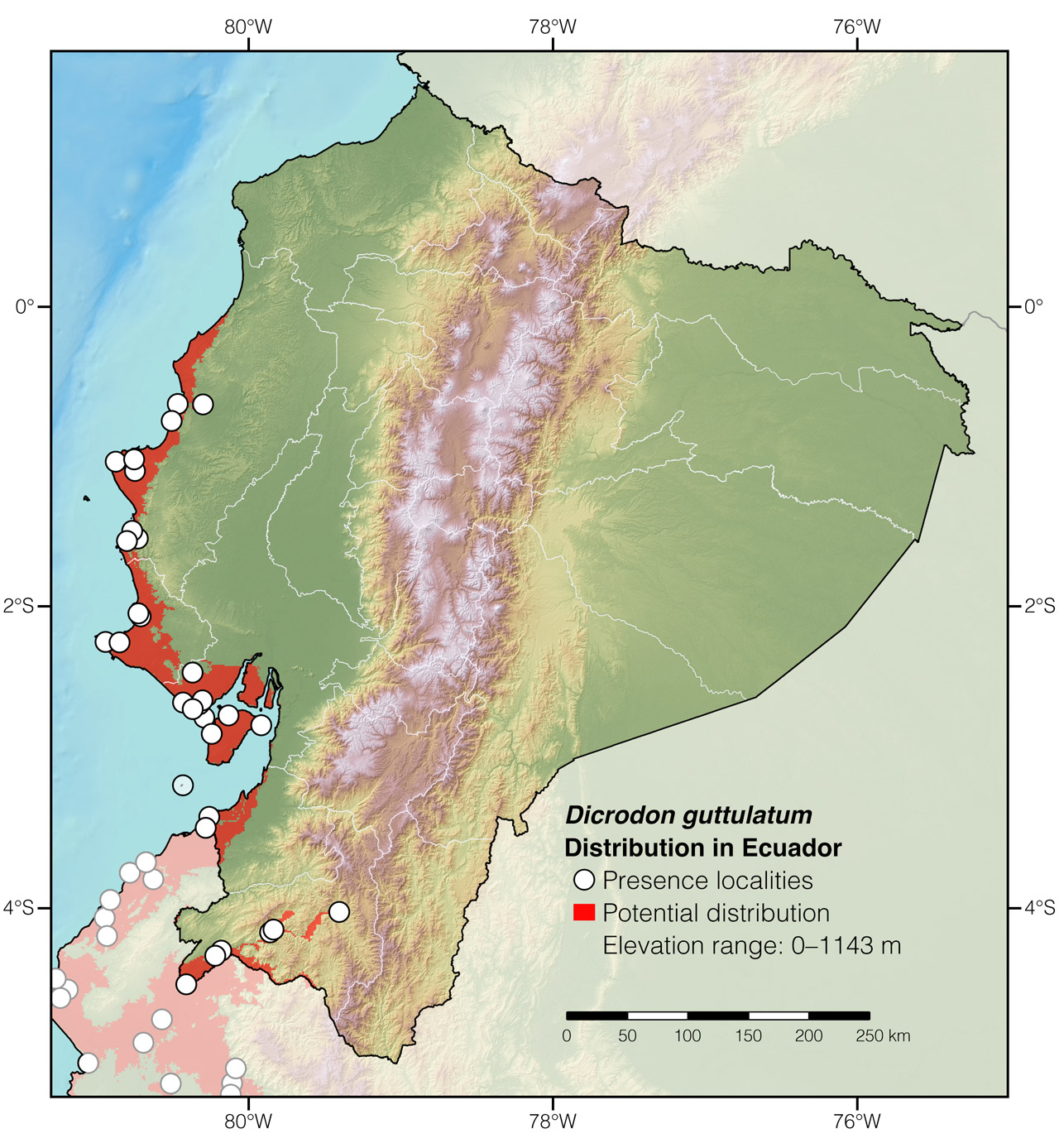Distribution of Dicrodon guttulatum in Ecuador