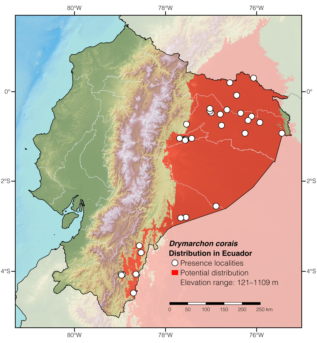 Distribution of Drymarchon corais in Ecuador