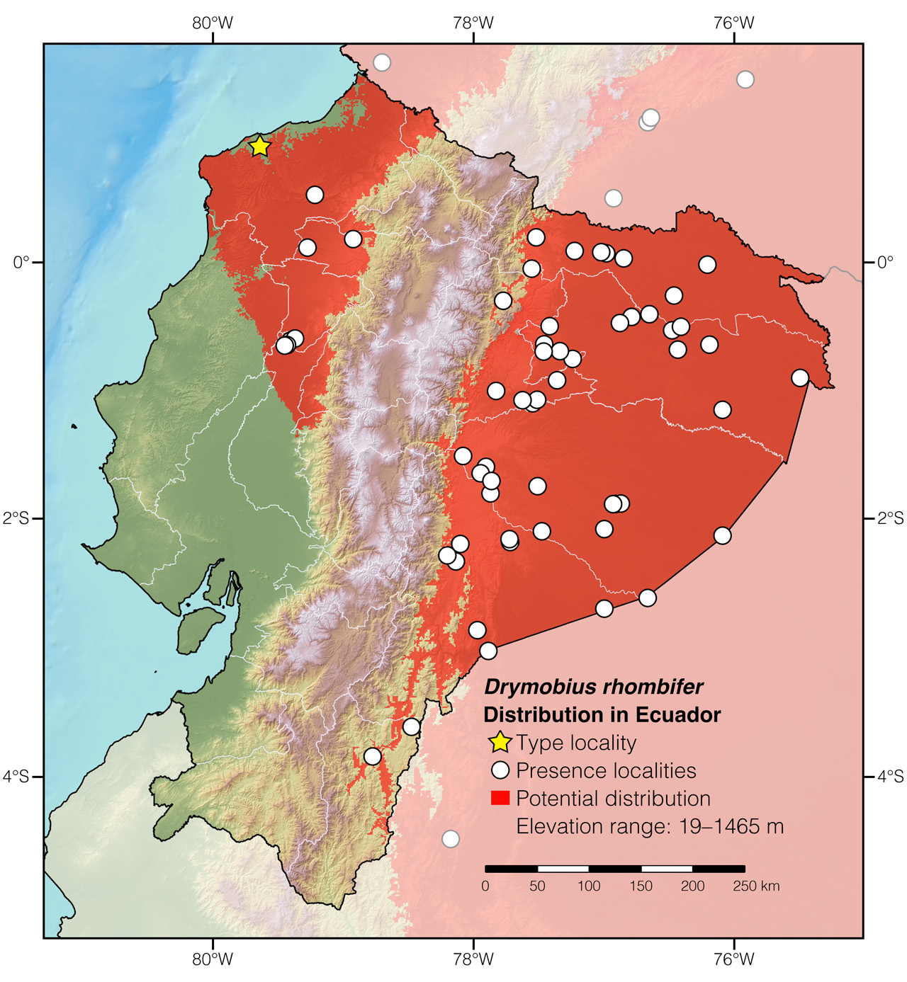 Distribution of Drymobius rhombifer in Ecuador
