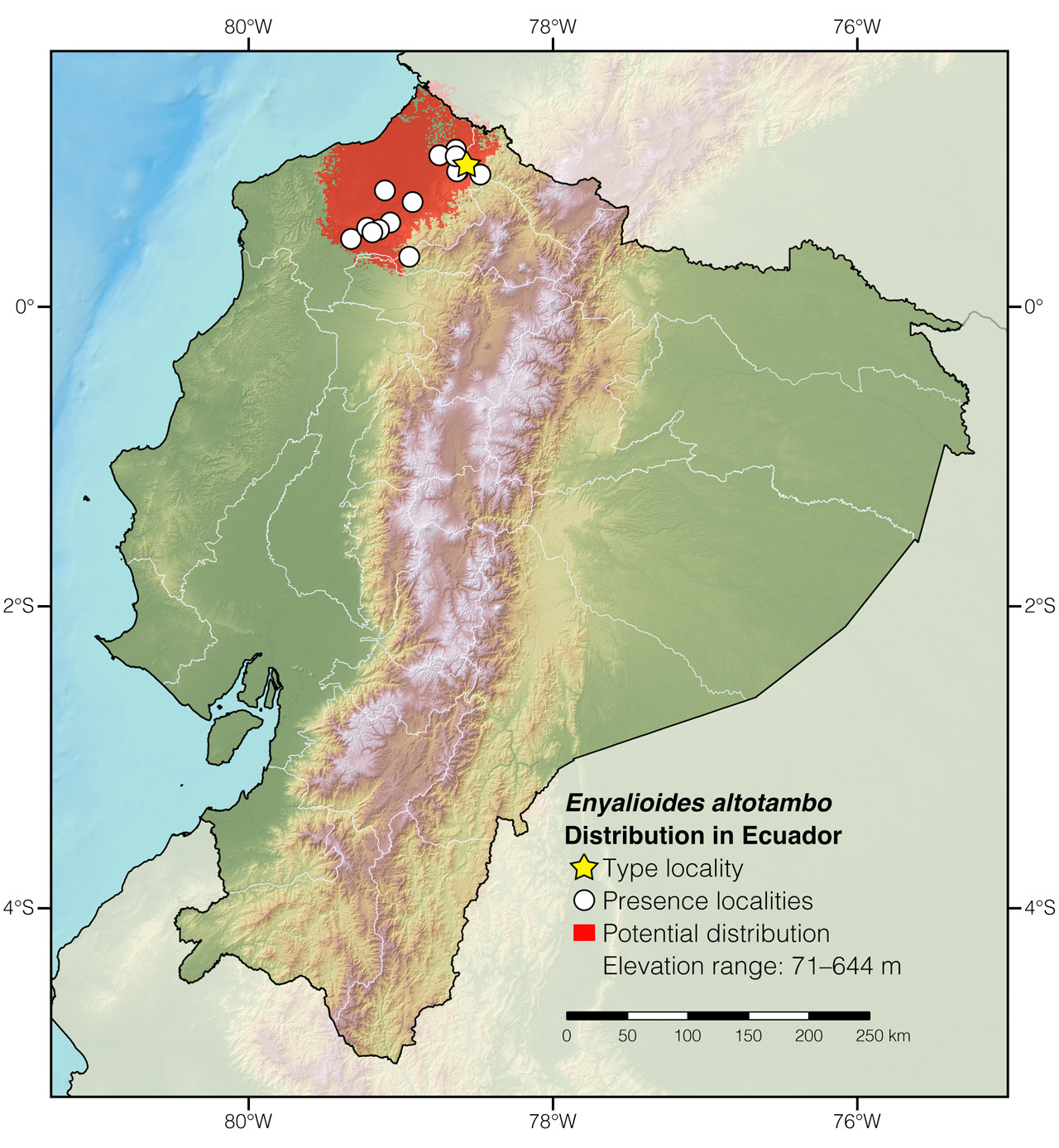 Distribution of Enyalioides altotambo in Ecuador
