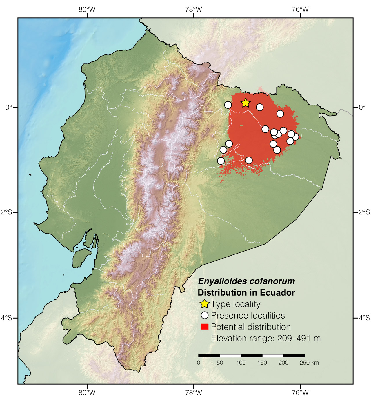 Distribution of Enyalioides cofanorum in Ecuador