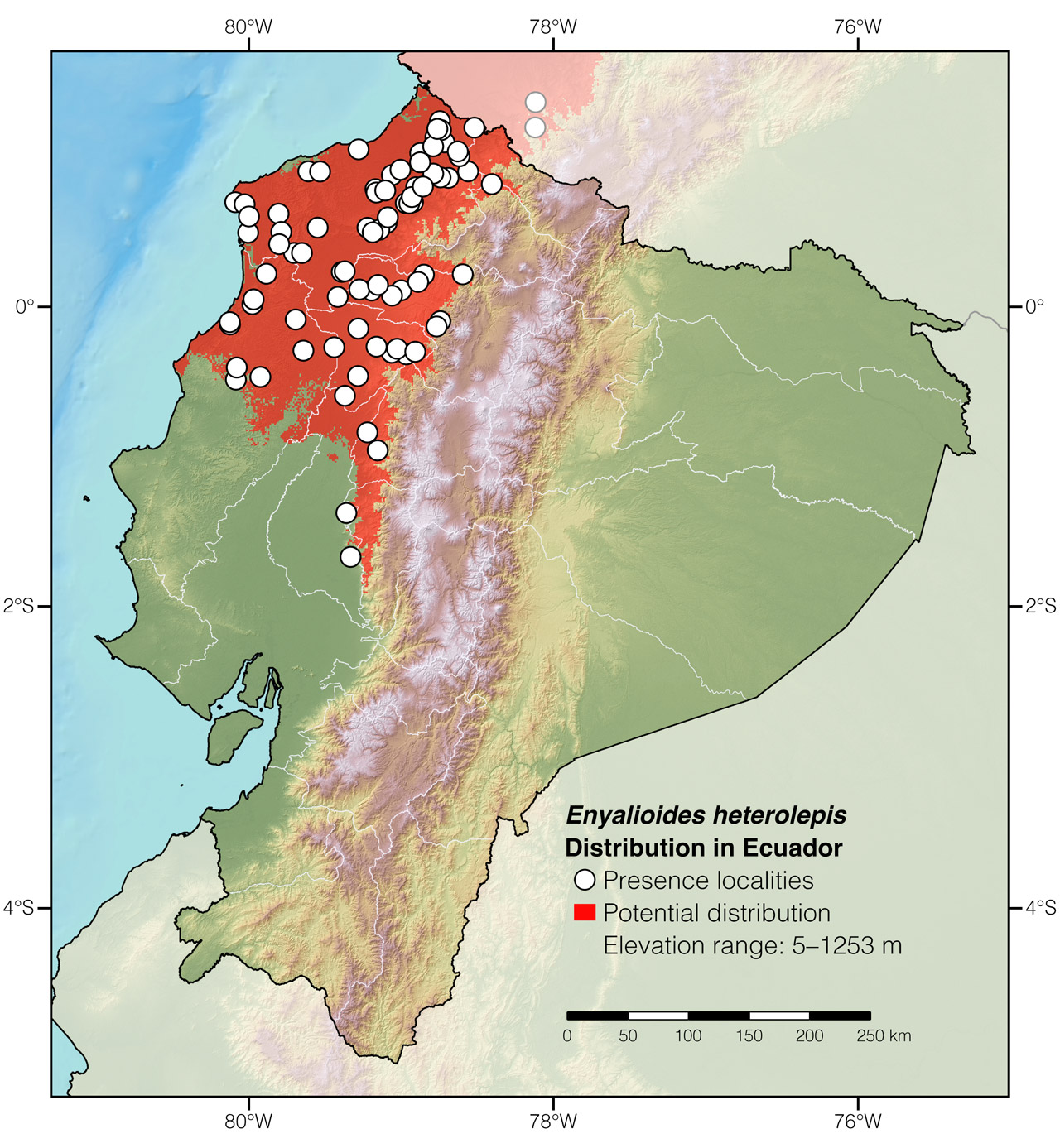 Distribution of Enyalioides heterolepis in Ecuador