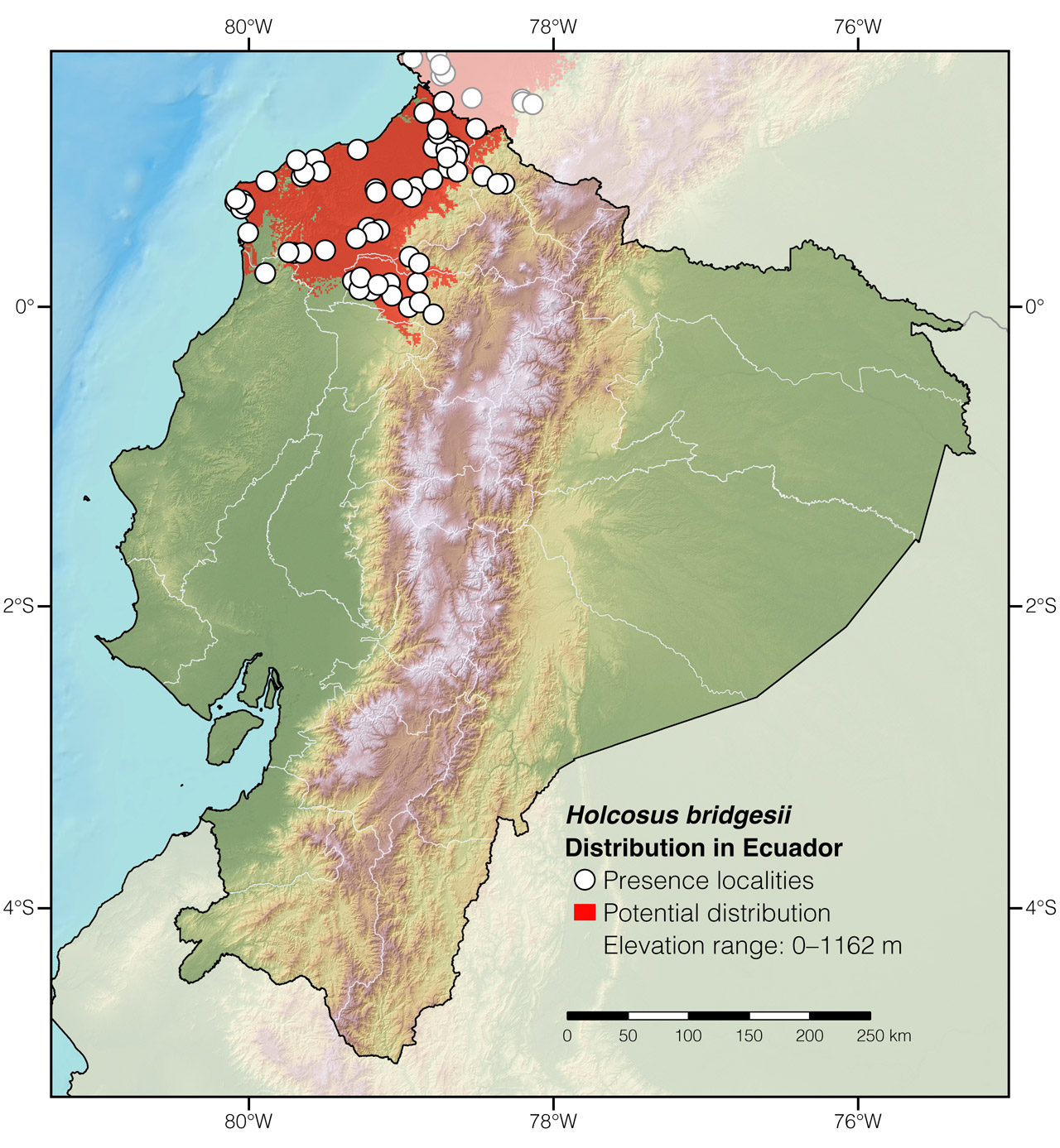 Distribution of Holcosus bridgesii in Ecuador