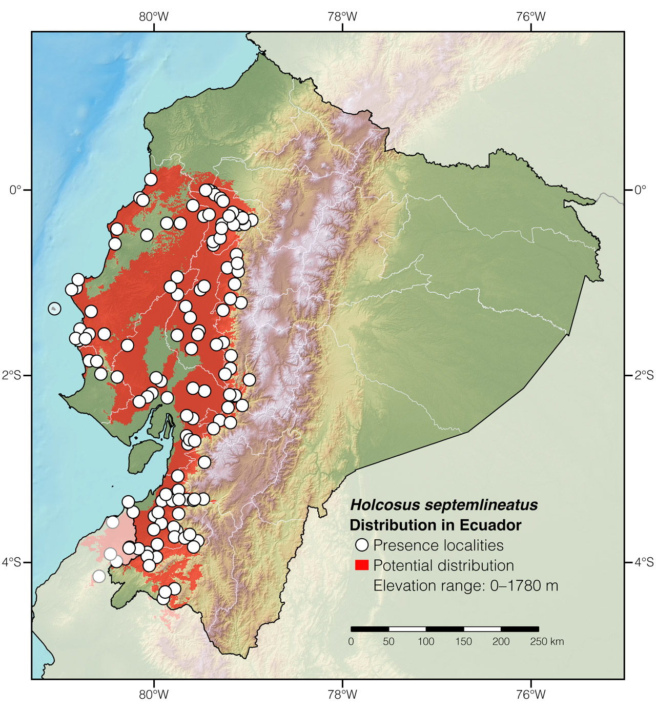 Distribution of Holcosus septemlineatus in Ecuador