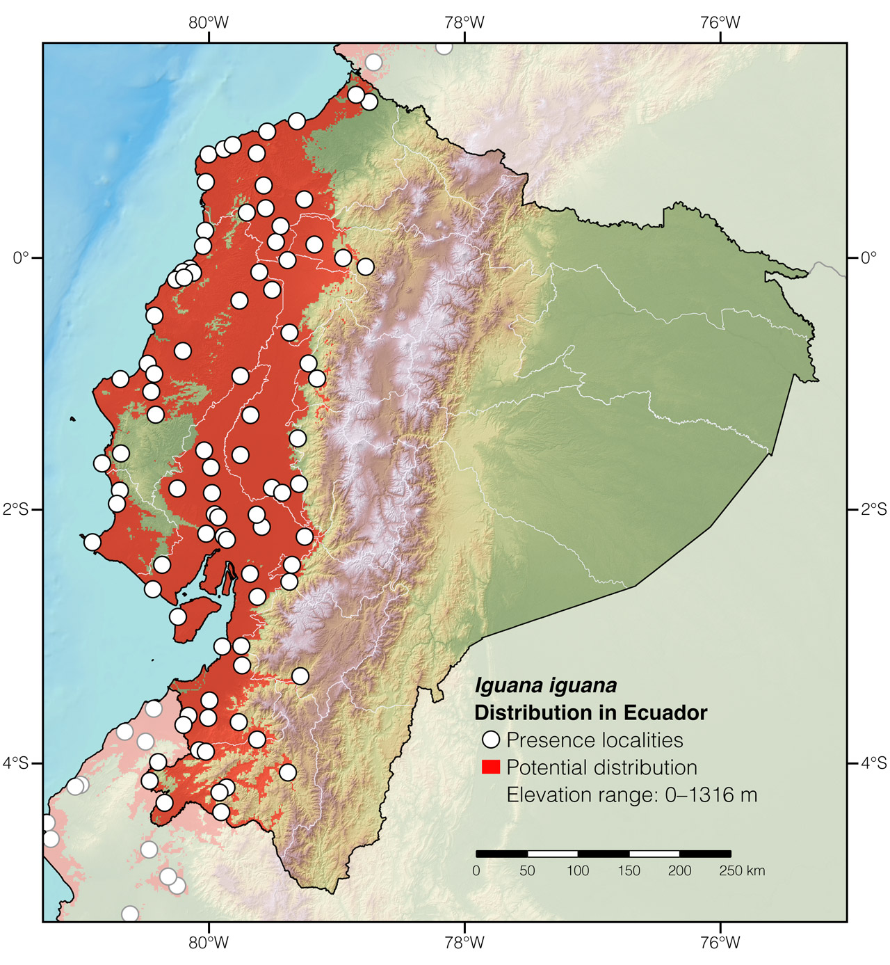 Distribution of Iguana iguana in Ecuador