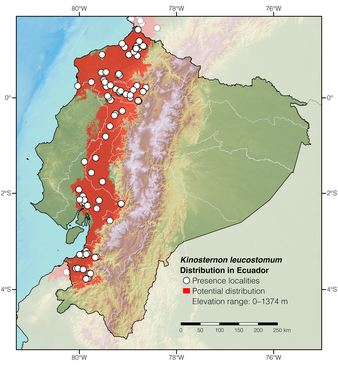 Distribution of Kinosternon leucostomum in Ecuador