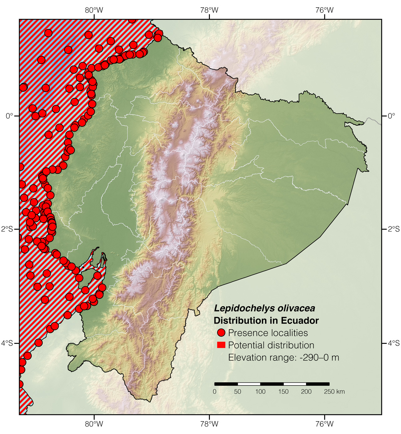 Distribution of Lepidochelys olivacea along mainland Ecuador