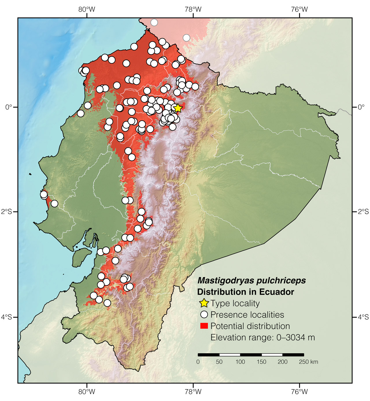 Distribution of Mastigodryas pulchriceps in Ecuador