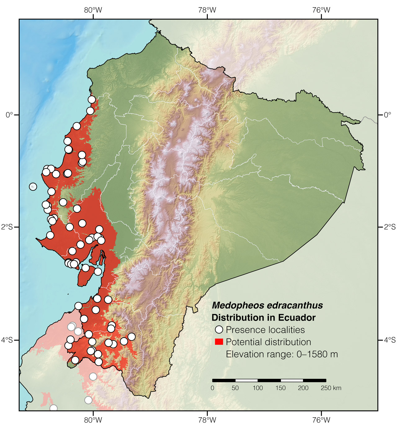 Distribution of Medopheos edracanthus in Ecuador