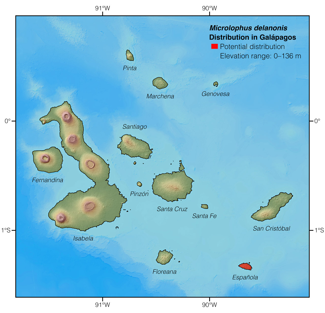 Distribution of Microlophus delanonis in Galápagos
