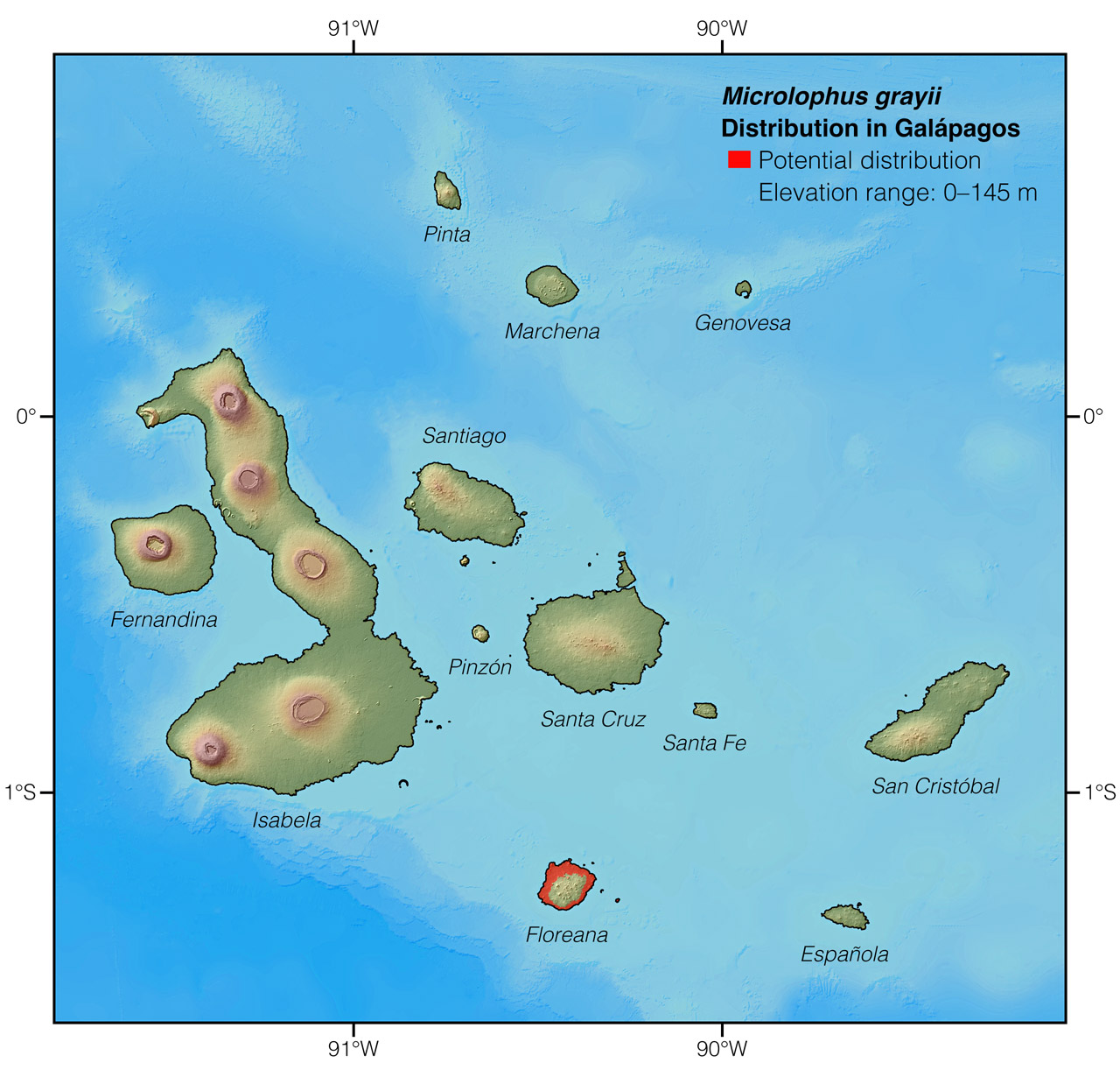 Distribution of Microlophus grayii in Galápagos