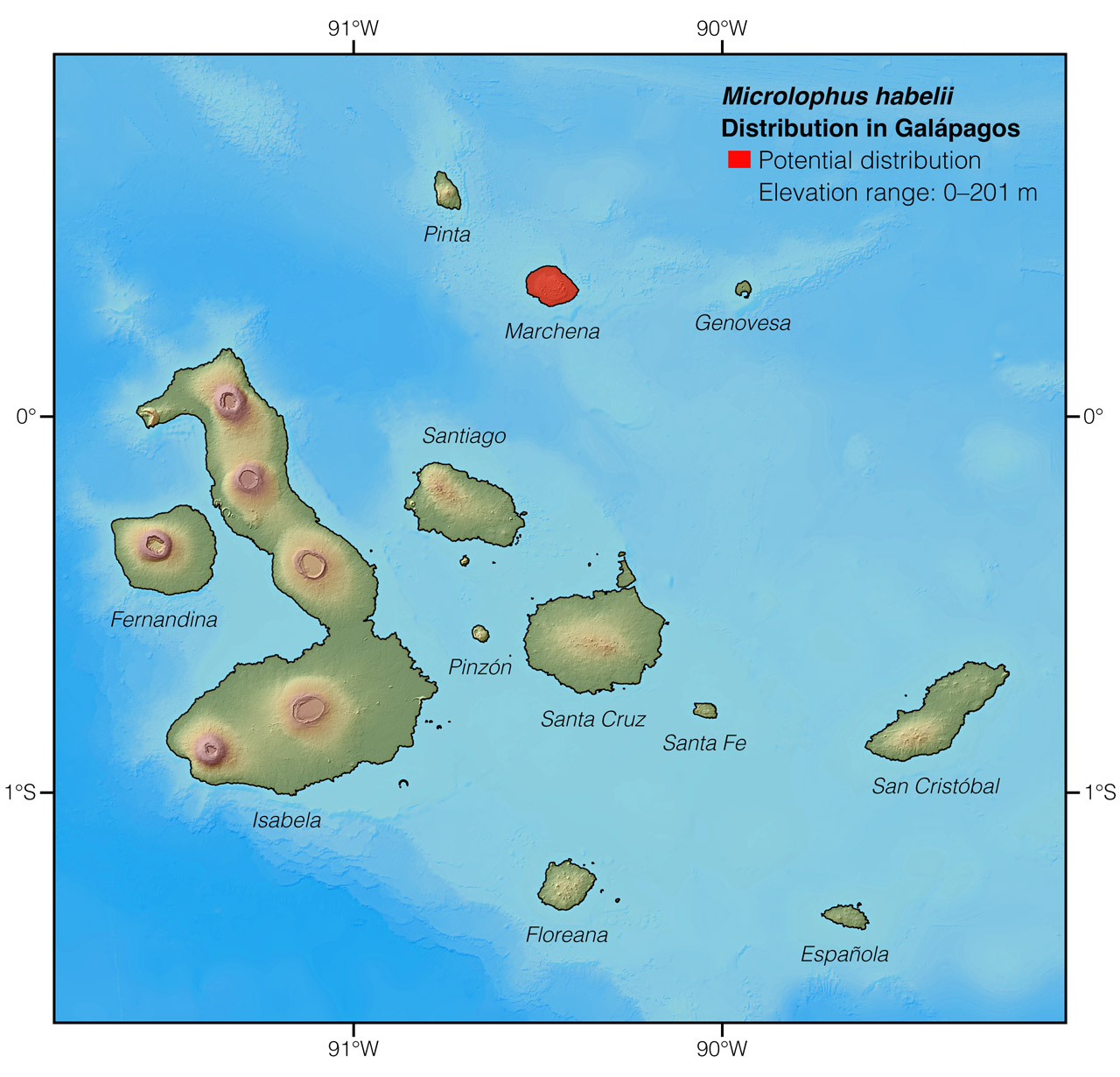 Distribution of Microlophus habelii in Galápagos