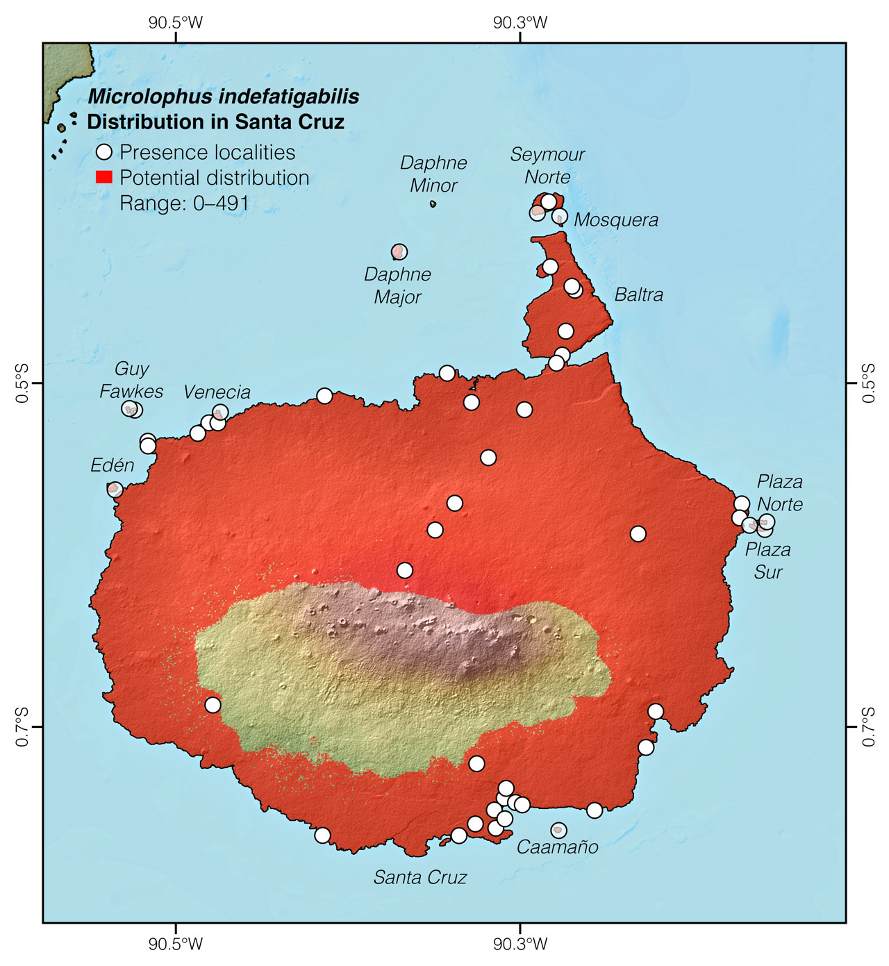 Distribution of Microlophus indefatigabilis in Santa Cruz Island