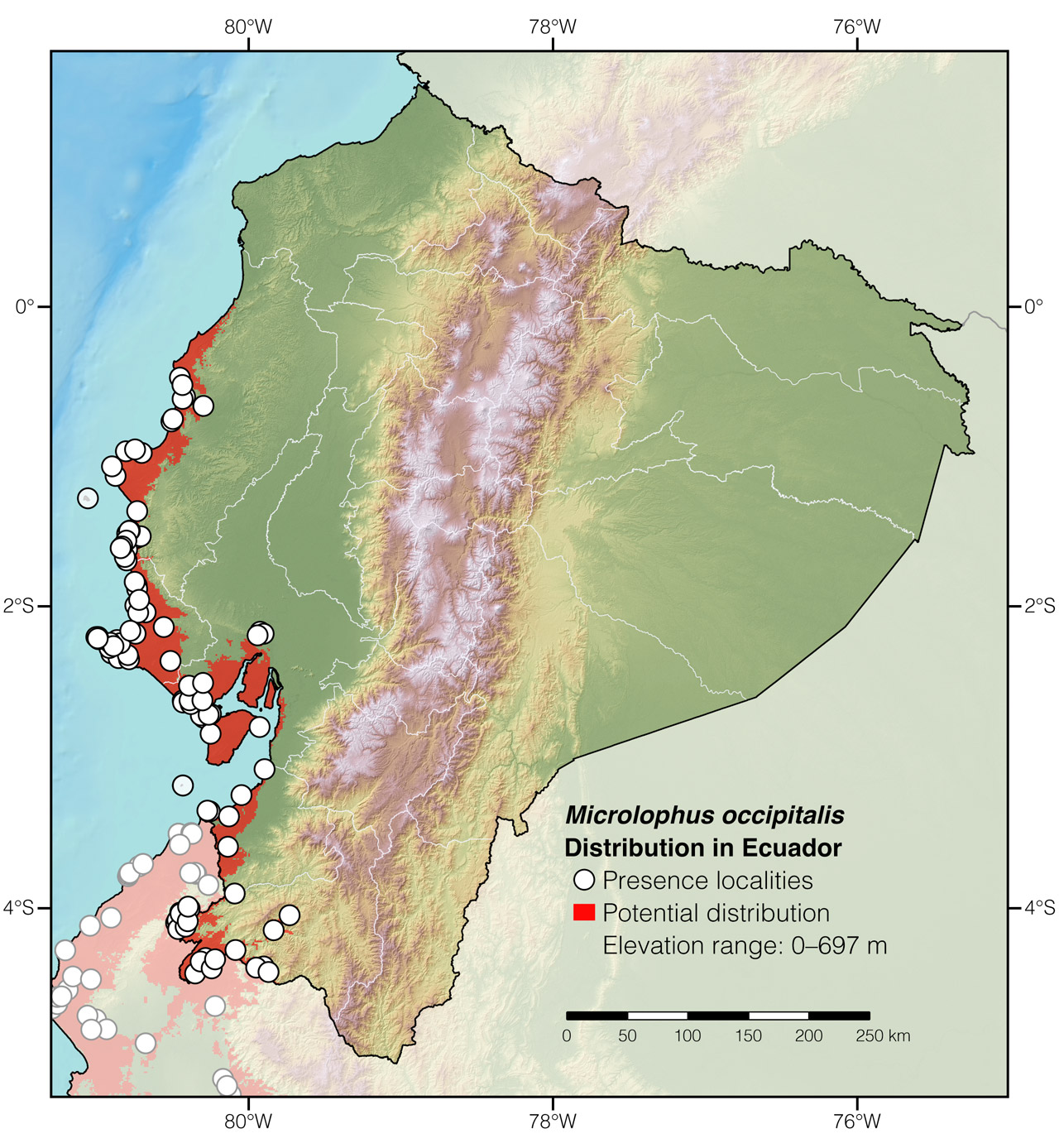Distribution of Microlophus occipitalis in Ecuador