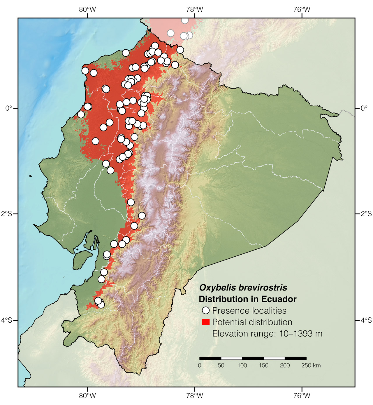 Distribution of Oxybelis brevirostris in Ecuador