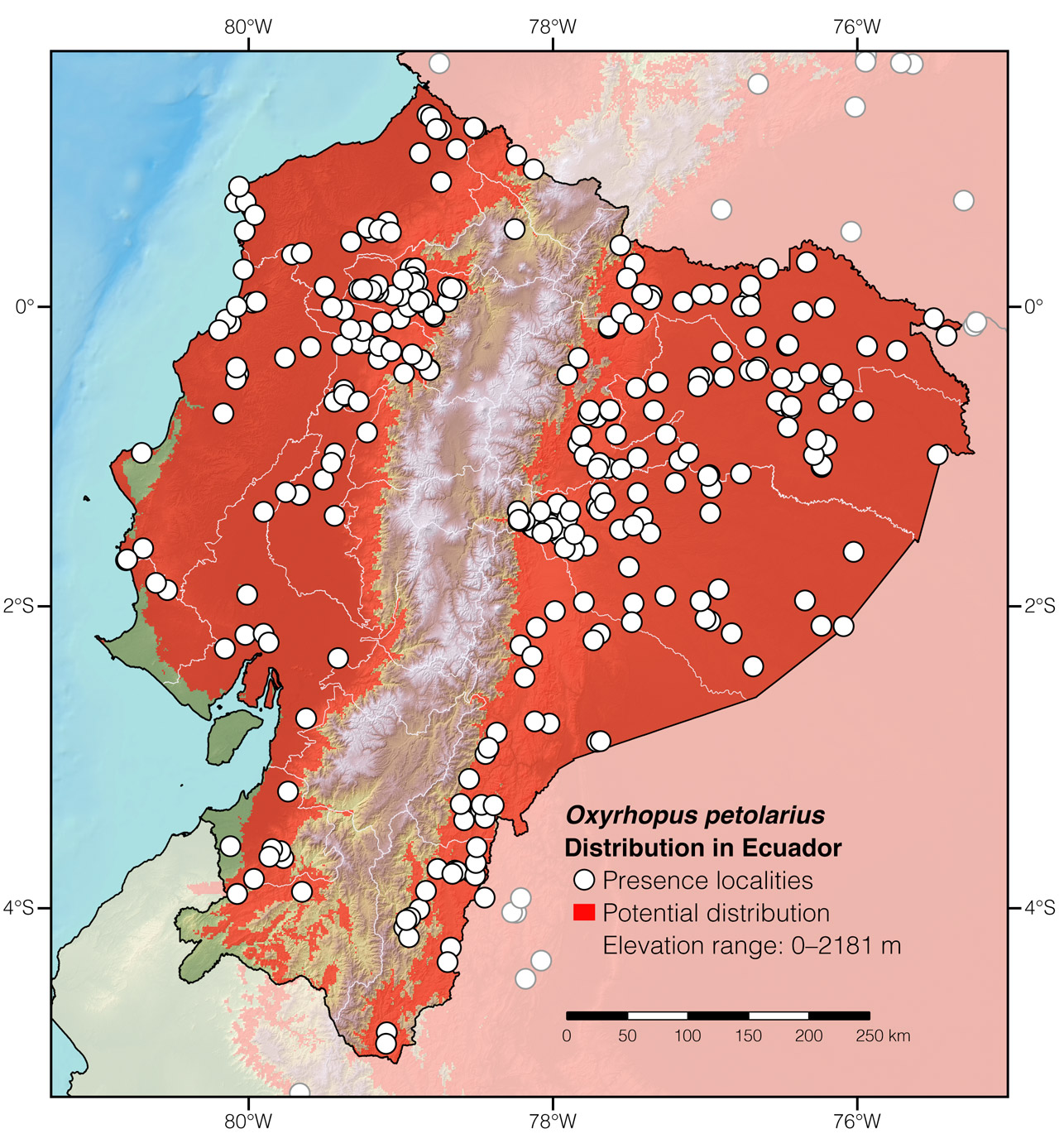 Distribution of Oxyrhopus petolarius in Ecuador