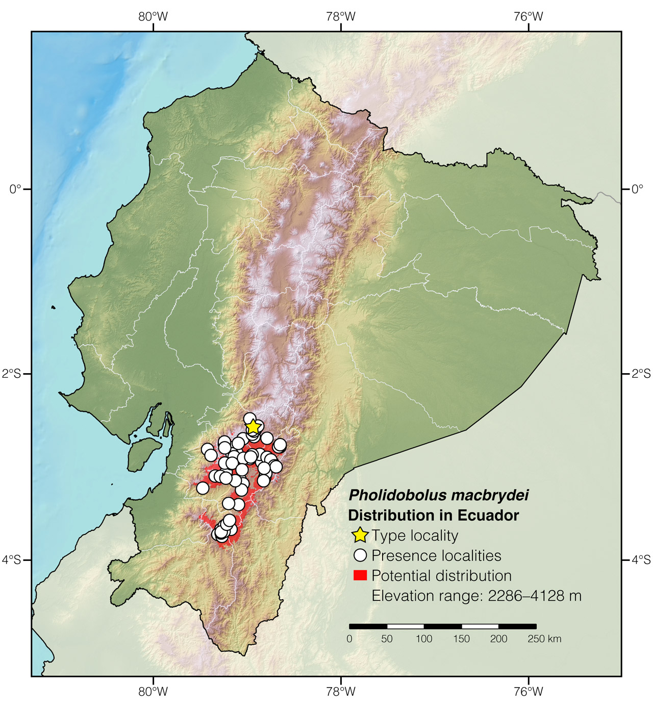 Distribution of Pholidobolus macbrydei in Ecuador