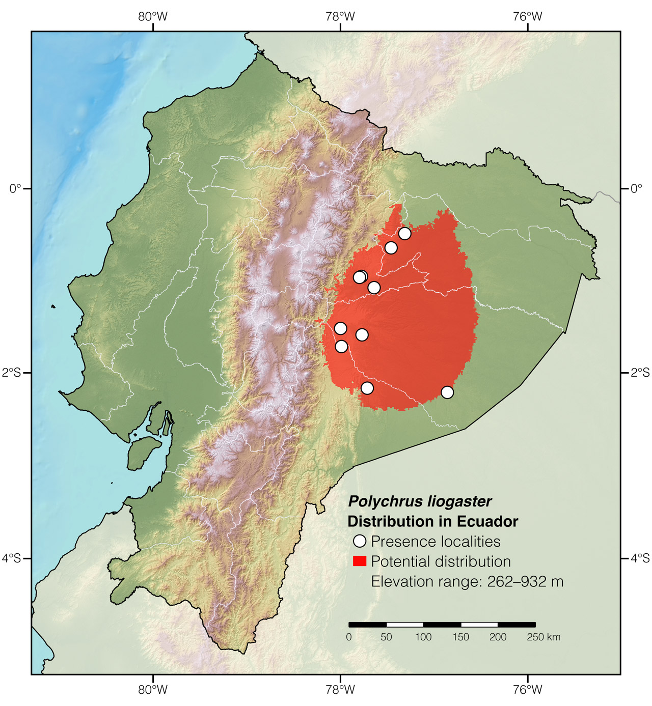 Distribution of Polychrus liogaster in Ecuador
