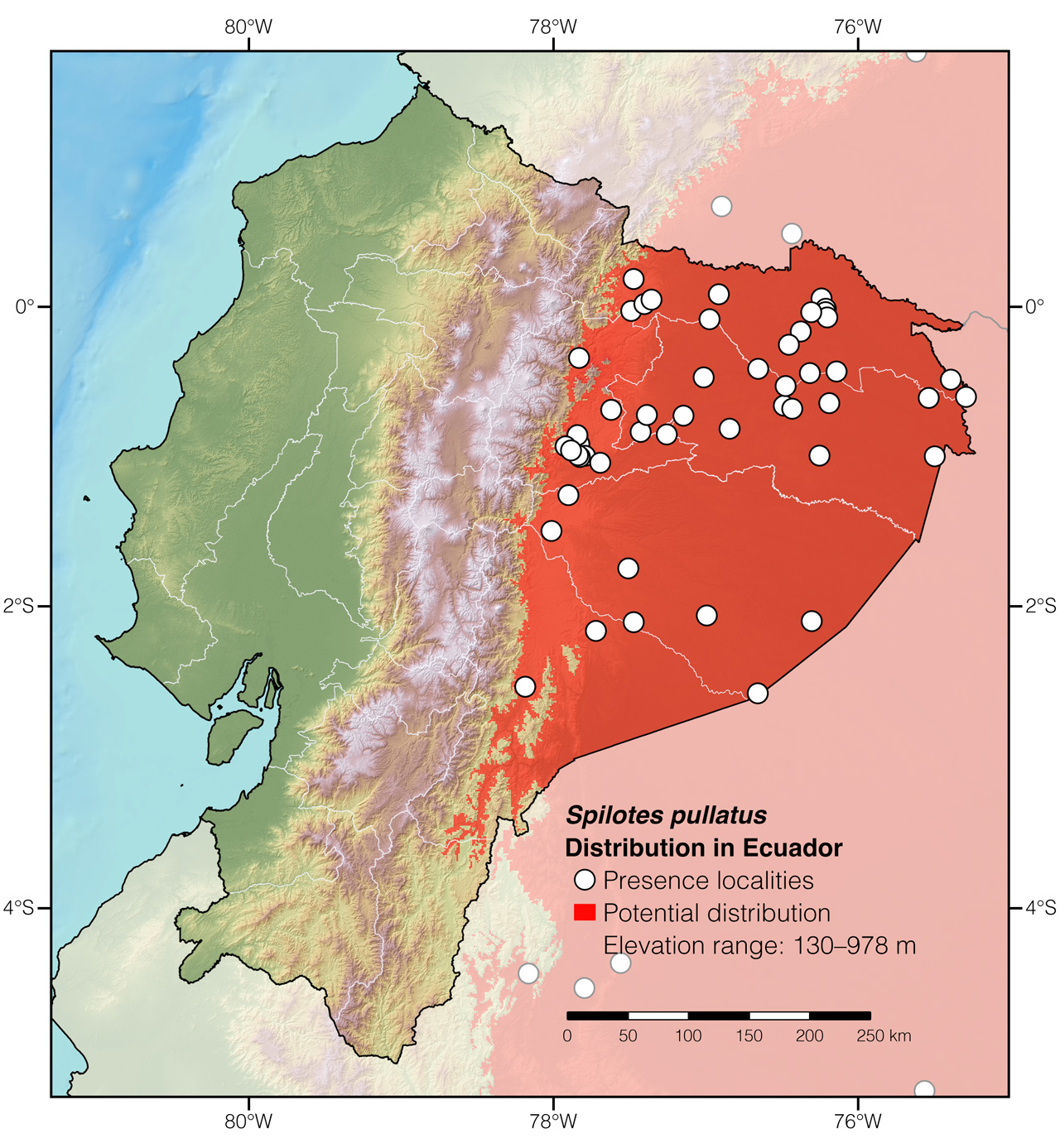 Distribution of Spilotes pullatus in Ecuador