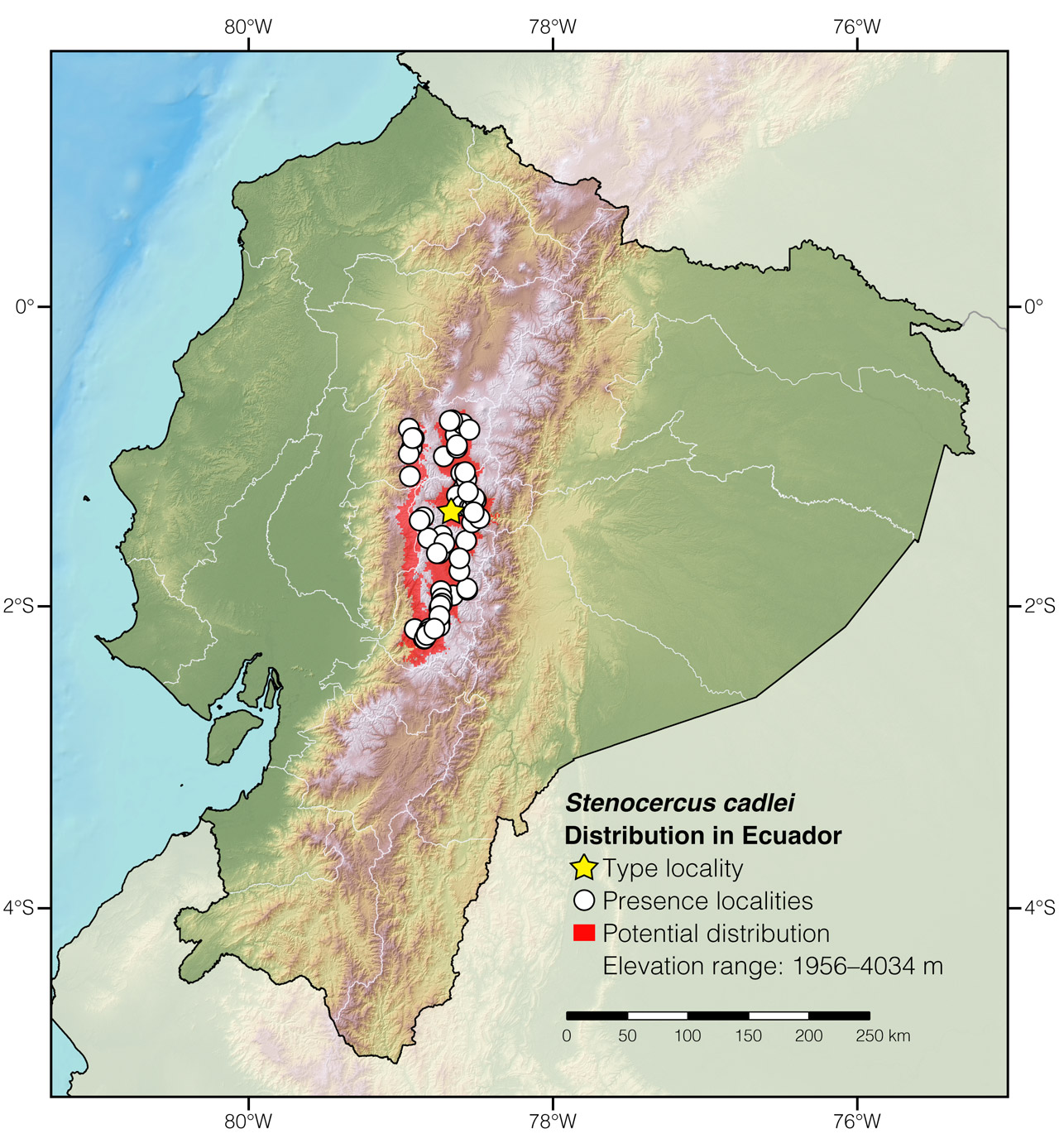 Distribution of Stenocercus cadlei in Ecuador