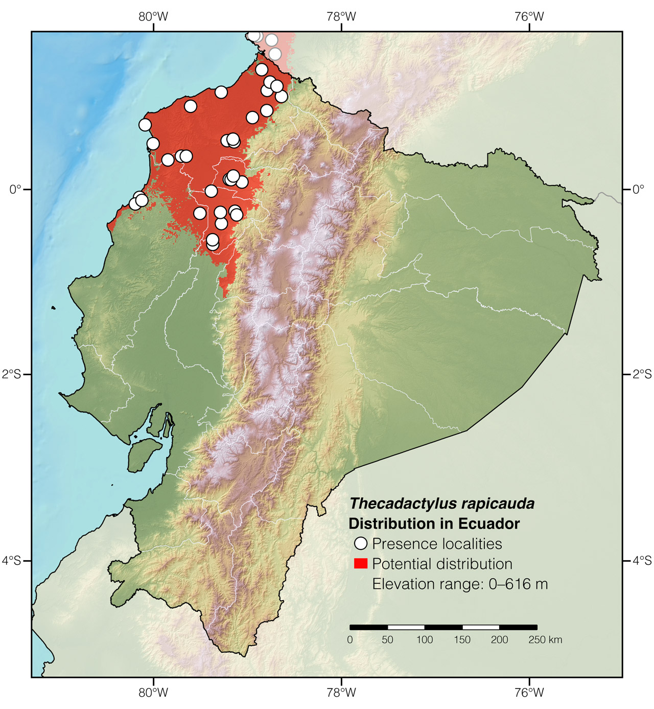 Distribution of Thecadactylus rapicauda in continental Ecuador