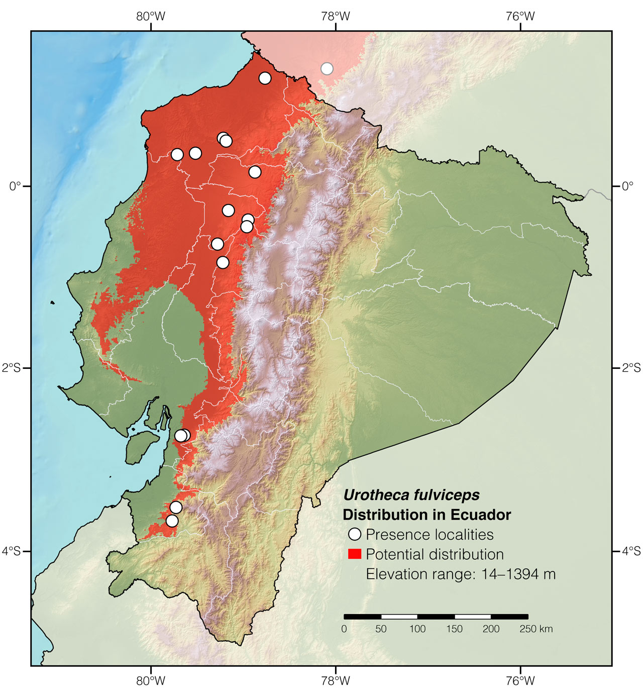 Distribution of Urotheca fulviceps in Ecuador